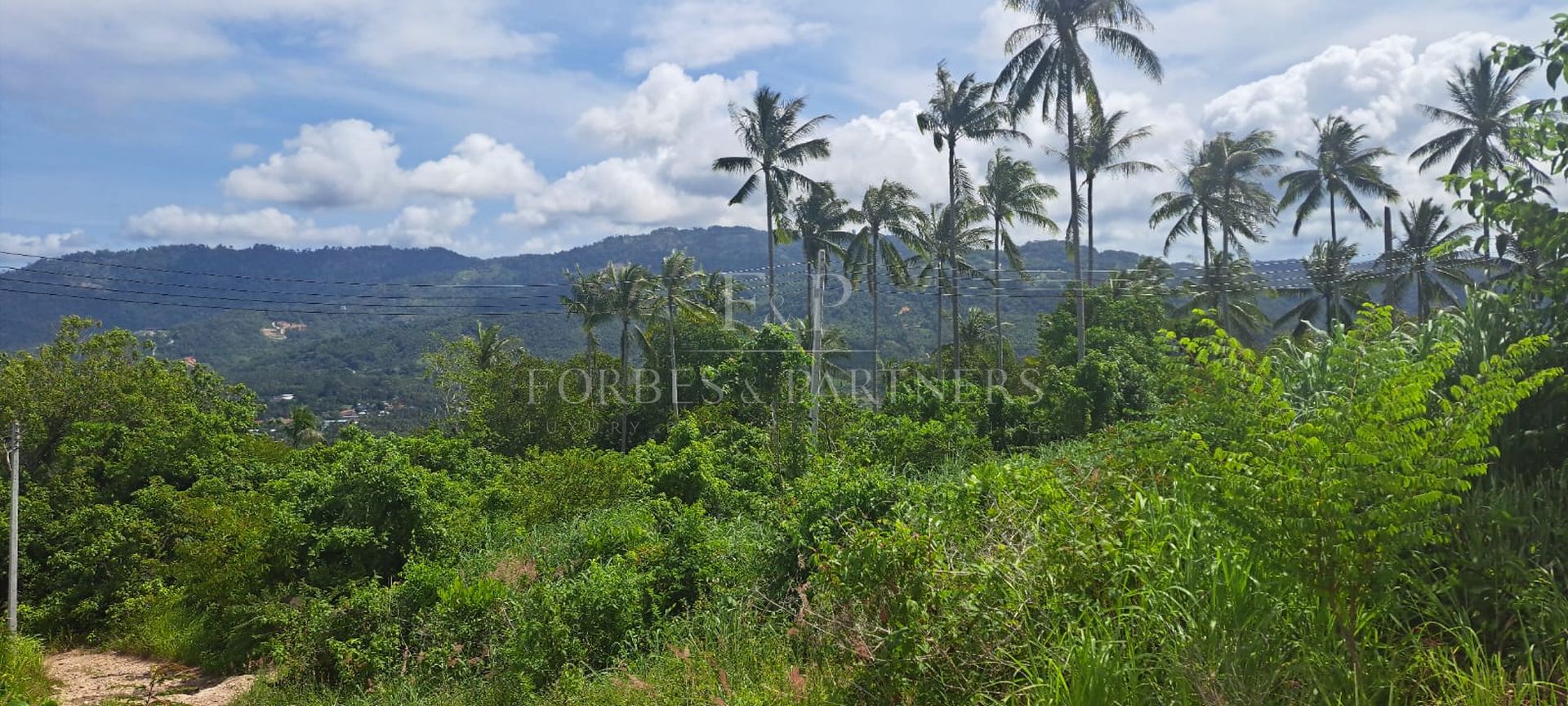 11 Rai Sea View Land for Sale in Taling Ngam, Ko Samui, Thailand - Taling Ngam, Ko Samui, Thailand