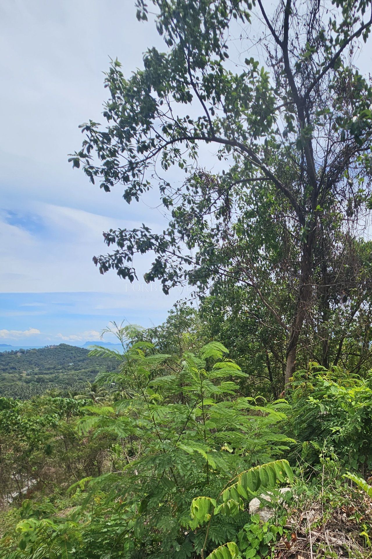 Exclusive Opportunity: Breathtaking 15-Rai Sea View Land in Taling Ngam, Koh Samui - Taling Ngam, Ko Samui, Thailand