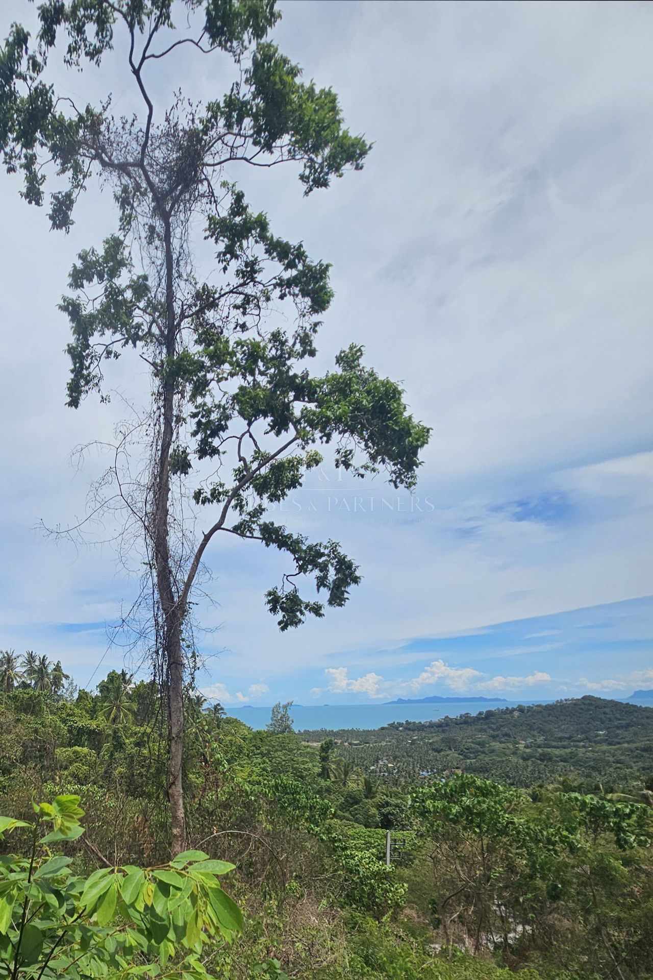 Exclusive Opportunity: Breathtaking 15-Rai Sea View Land in Taling Ngam, Koh Samui - Taling Ngam, Ko Samui, Thailand