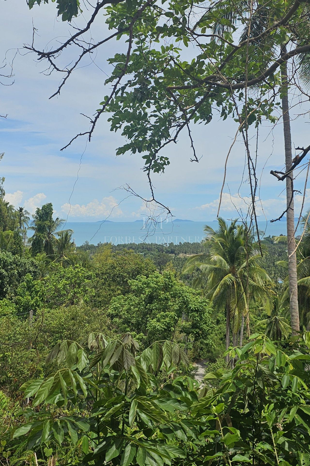 Exclusive Opportunity: Breathtaking 15-Rai Sea View Land in Taling Ngam, Koh Samui - Taling Ngam, Ko Samui, Thailand