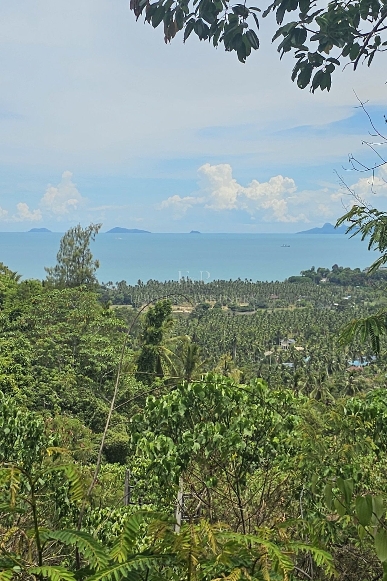 Exclusive Opportunity: Breathtaking 15-Rai Sea View Land in Taling Ngam, Koh Samui - Taling Ngam, Ko Samui, Thailand