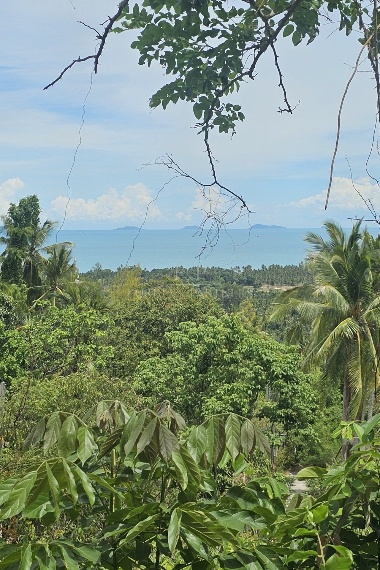 Exclusive Opportunity: Breathtaking 15-Rai Sea View Land in Taling Ngam, Koh Samui - Taling Ngam, Ko Samui, Thailand