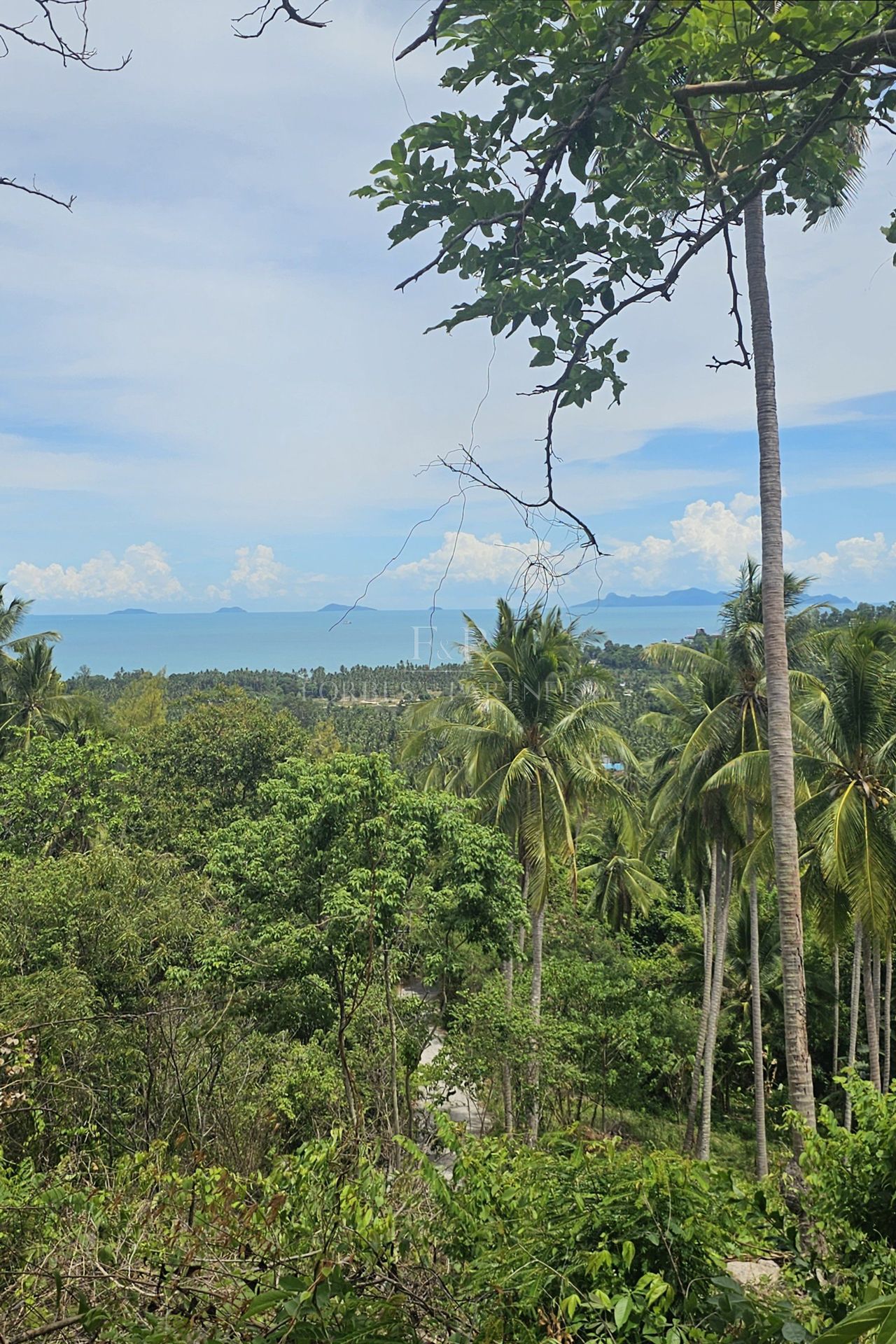 Exclusive Opportunity: Breathtaking 15-Rai Sea View Land in Taling Ngam, Koh Samui - Taling Ngam, Ko Samui, Thailand