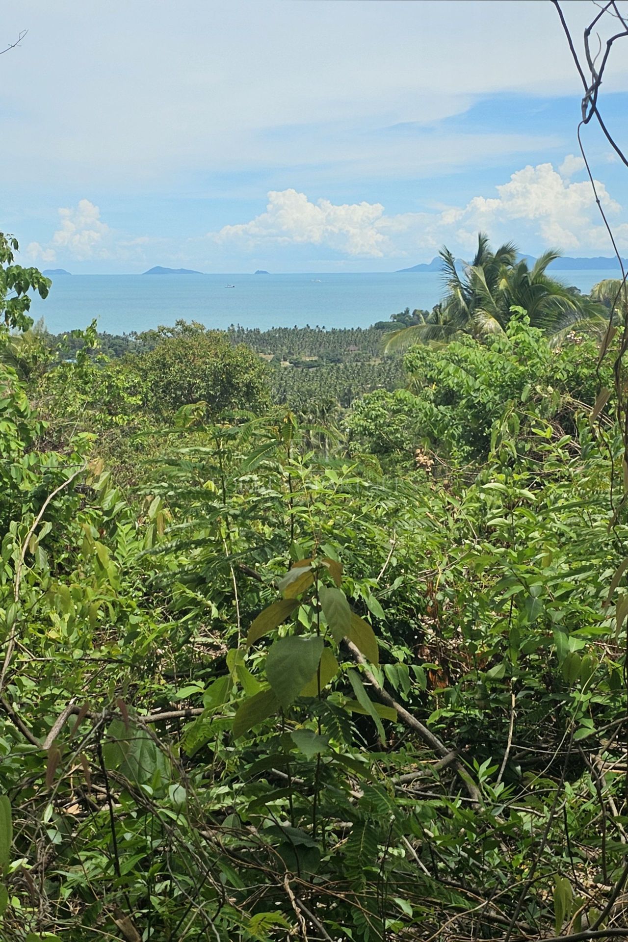Exclusive Opportunity: Breathtaking 15-Rai Sea View Land in Taling Ngam, Koh Samui - Taling Ngam, Ko Samui, Thailand
