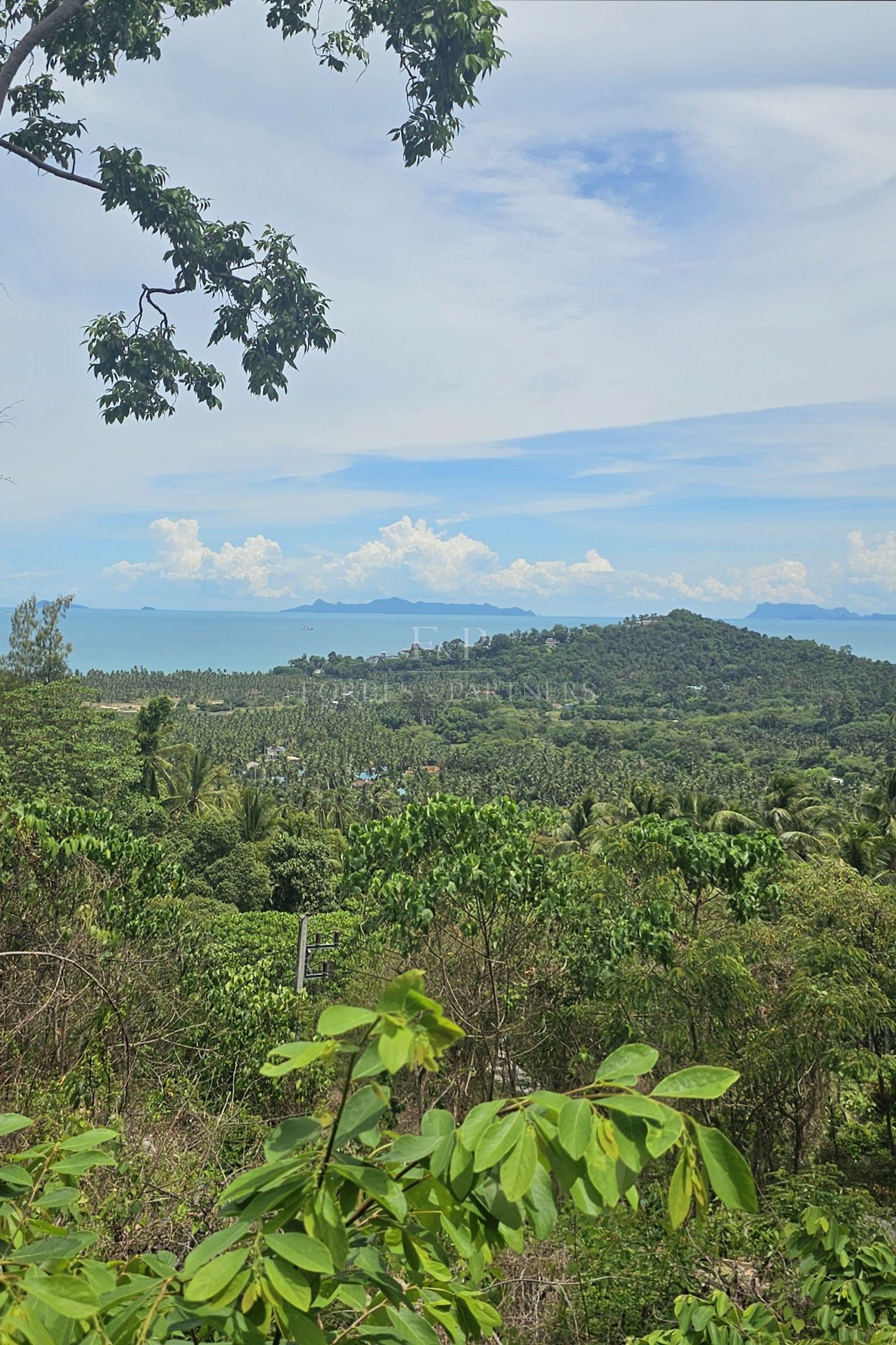 Exclusive Opportunity: Breathtaking 15-Rai Sea View Land in Taling Ngam, Koh Samui - Taling Ngam, Ko Samui, Thailand