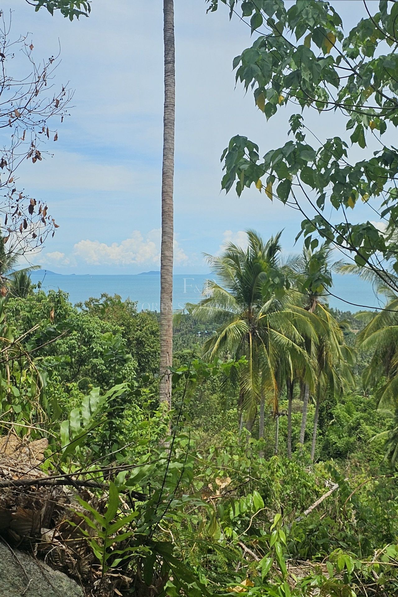 Exclusive Opportunity: Breathtaking 15-Rai Sea View Land in Taling Ngam, Koh Samui - Taling Ngam, Ko Samui, Thailand