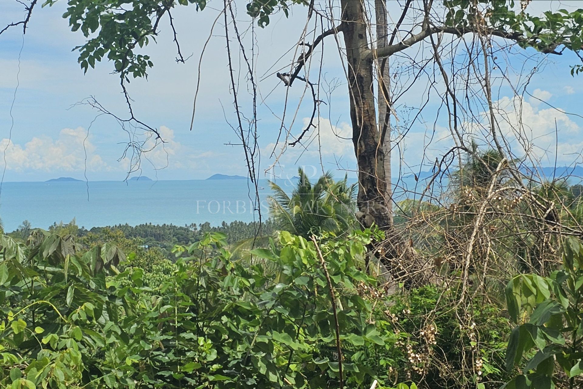 Exclusive Opportunity: Breathtaking 15-Rai Sea View Land in Taling Ngam, Koh Samui - Taling Ngam, Ko Samui, Thailand