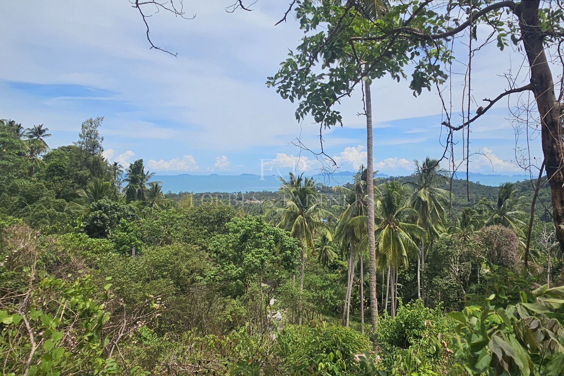 Exclusive Opportunity: Breathtaking 15-Rai Sea View Land in Taling Ngam, Koh Samui - Taling Ngam, Ko Samui, Thailand