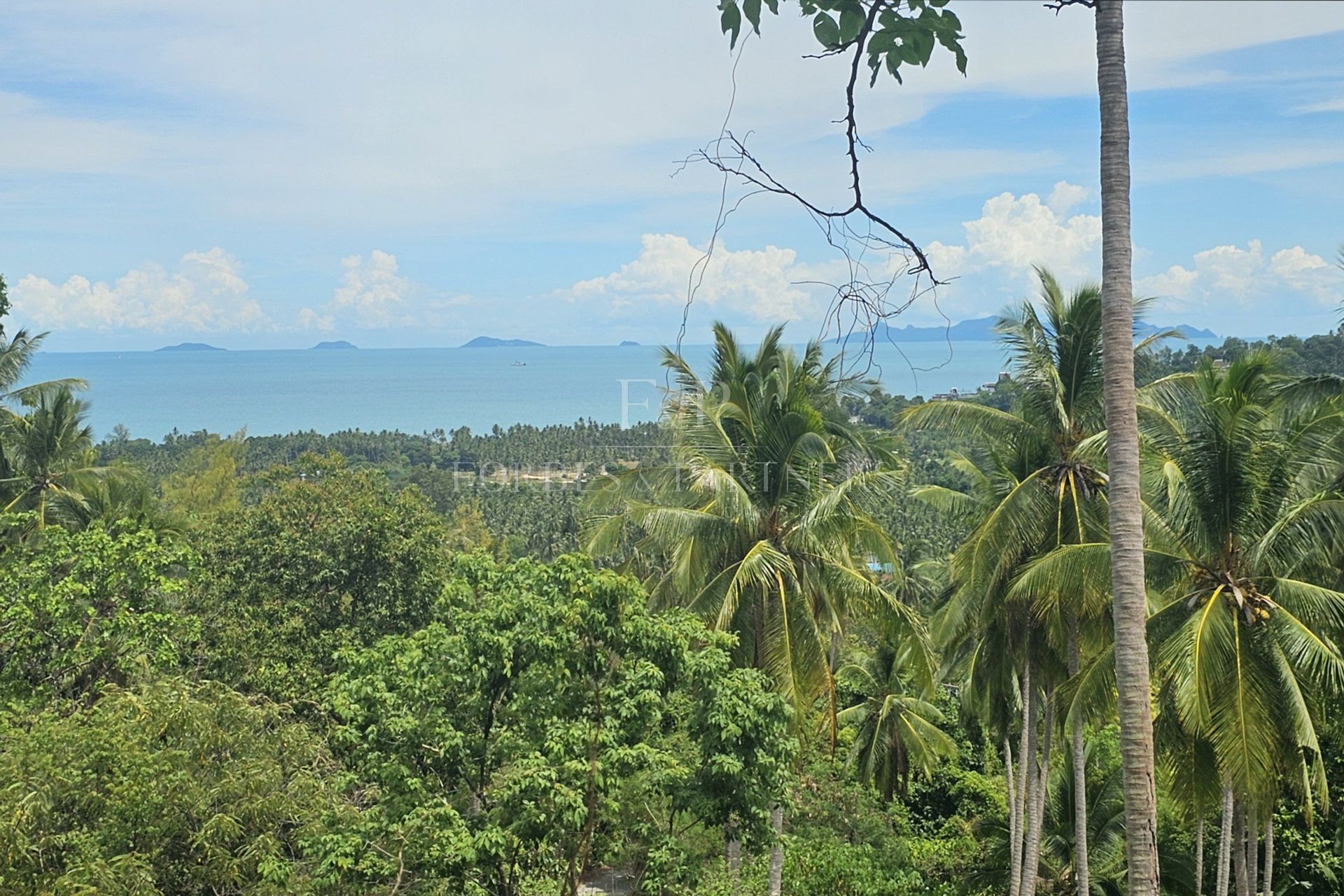 Exclusive Opportunity: Breathtaking 15-Rai Sea View Land in Taling Ngam, Koh Samui - Taling Ngam, Ko Samui, Thailand