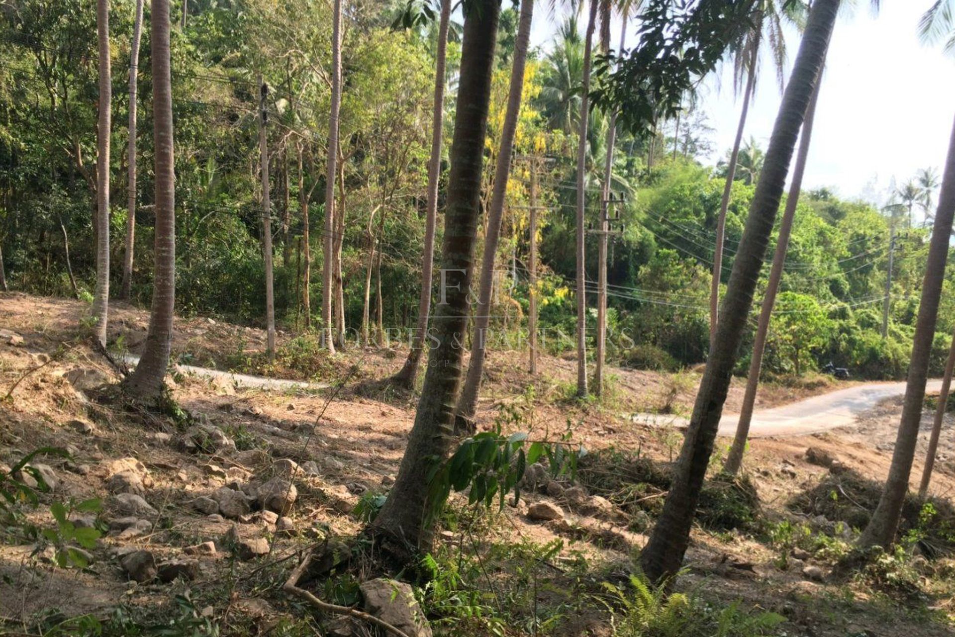 Exclusive Opportunity: Breathtaking 15-Rai Sea View Land in Taling Ngam, Koh Samui - Taling Ngam, Ko Samui, Thailand