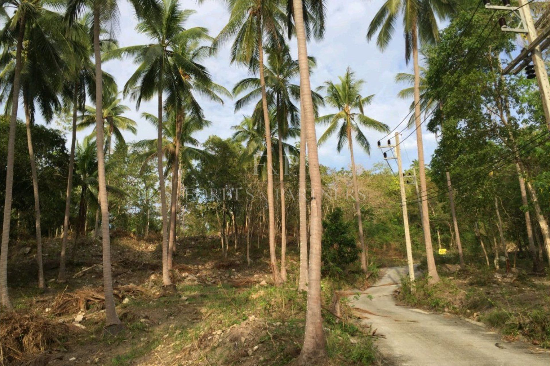 Exclusive Opportunity: Breathtaking 15-Rai Sea View Land in Taling Ngam, Koh Samui - Taling Ngam, Ko Samui, Thailand