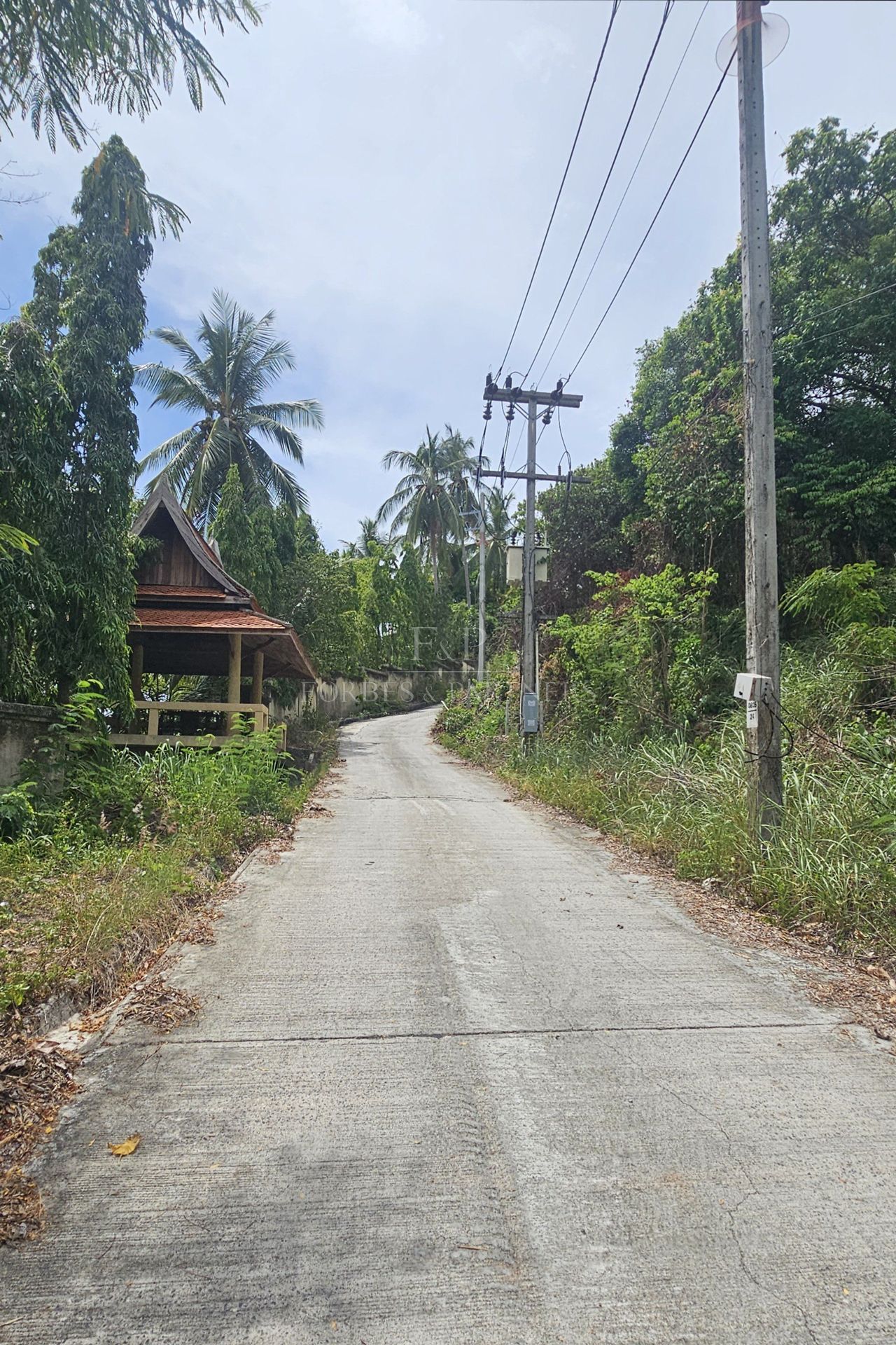 Exclusive Opportunity: Breathtaking 15-Rai Sea View Land in Taling Ngam, Koh Samui - Taling Ngam, Ko Samui, Thailand