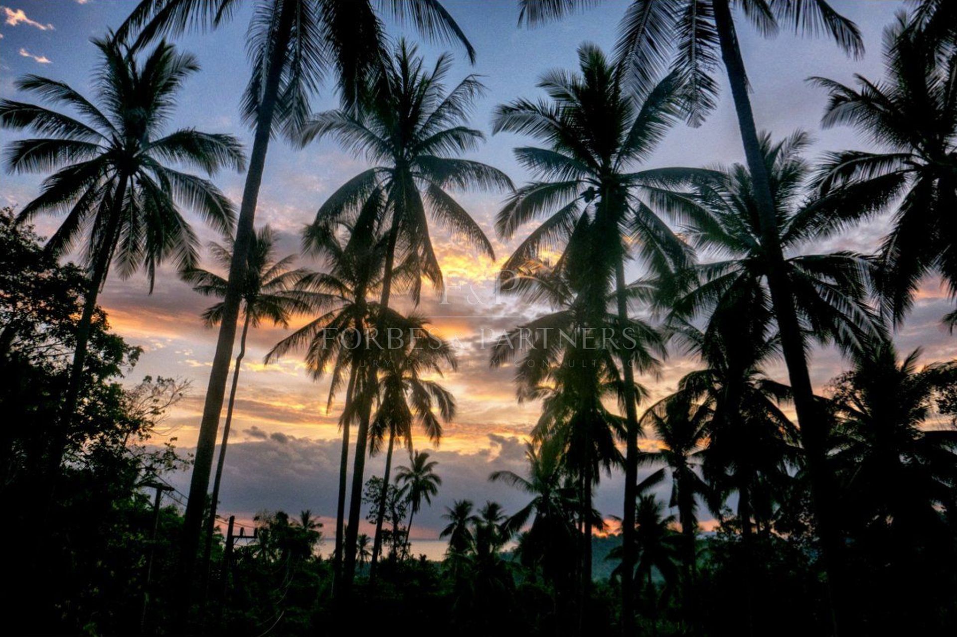 Exclusive Opportunity: Breathtaking 15-Rai Sea View Land in Taling Ngam, Koh Samui - Taling Ngam, Ko Samui, Thailand