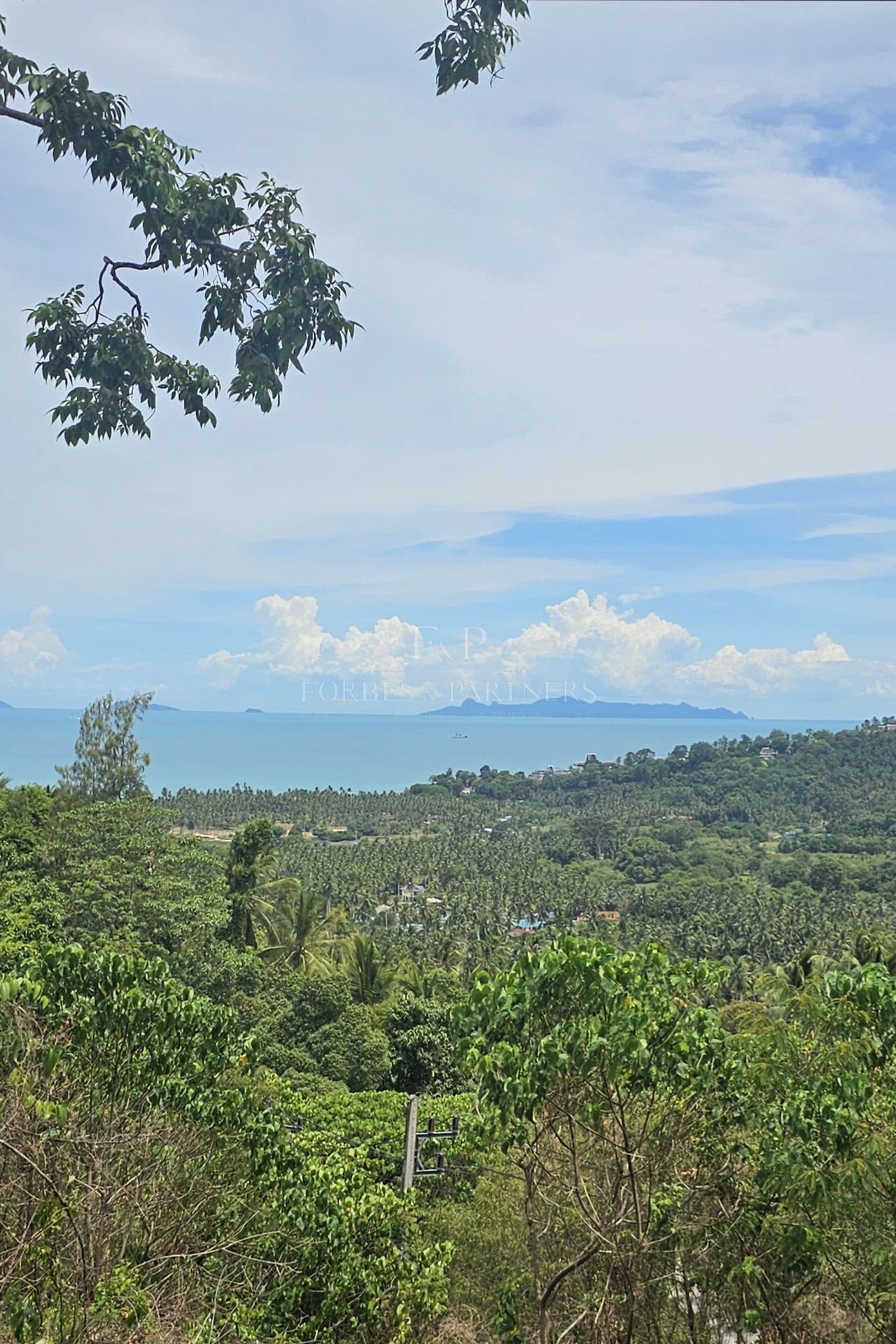 Exclusive Opportunity: Breathtaking 15-Rai Sea View Land in Taling Ngam, Koh Samui - Taling Ngam, Ko Samui, Thailand