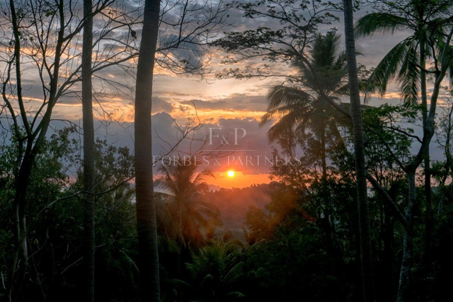 Exclusive Opportunity: Breathtaking 15-Rai Sea View Land in Taling Ngam, Koh Samui - Taling Ngam, Ko Samui, Thailand