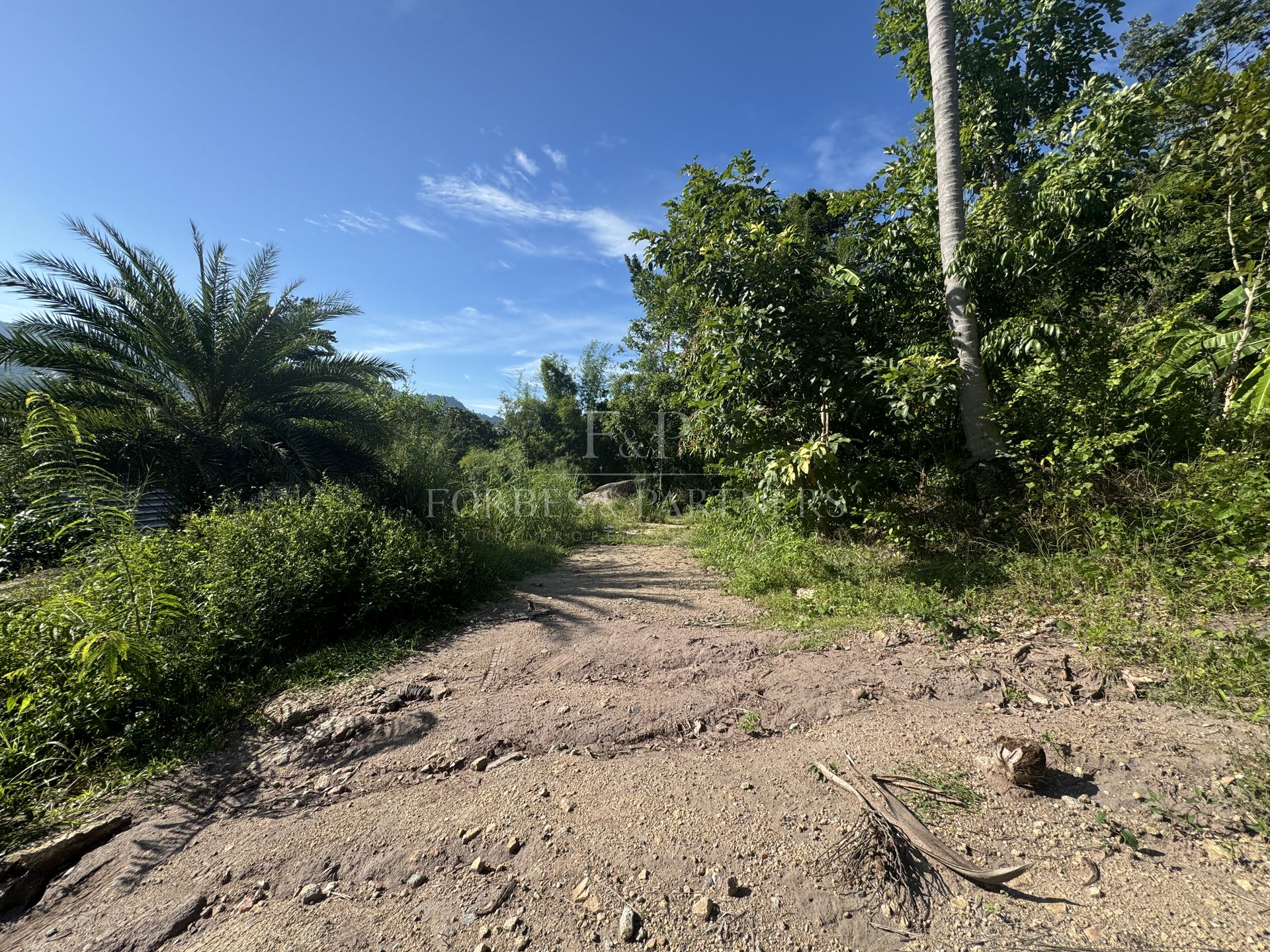 LAMAI RESIDENTIAL PLOT: 400 SQM IN PRIME LOCATION - Lamai, Ko Samui, Thailand