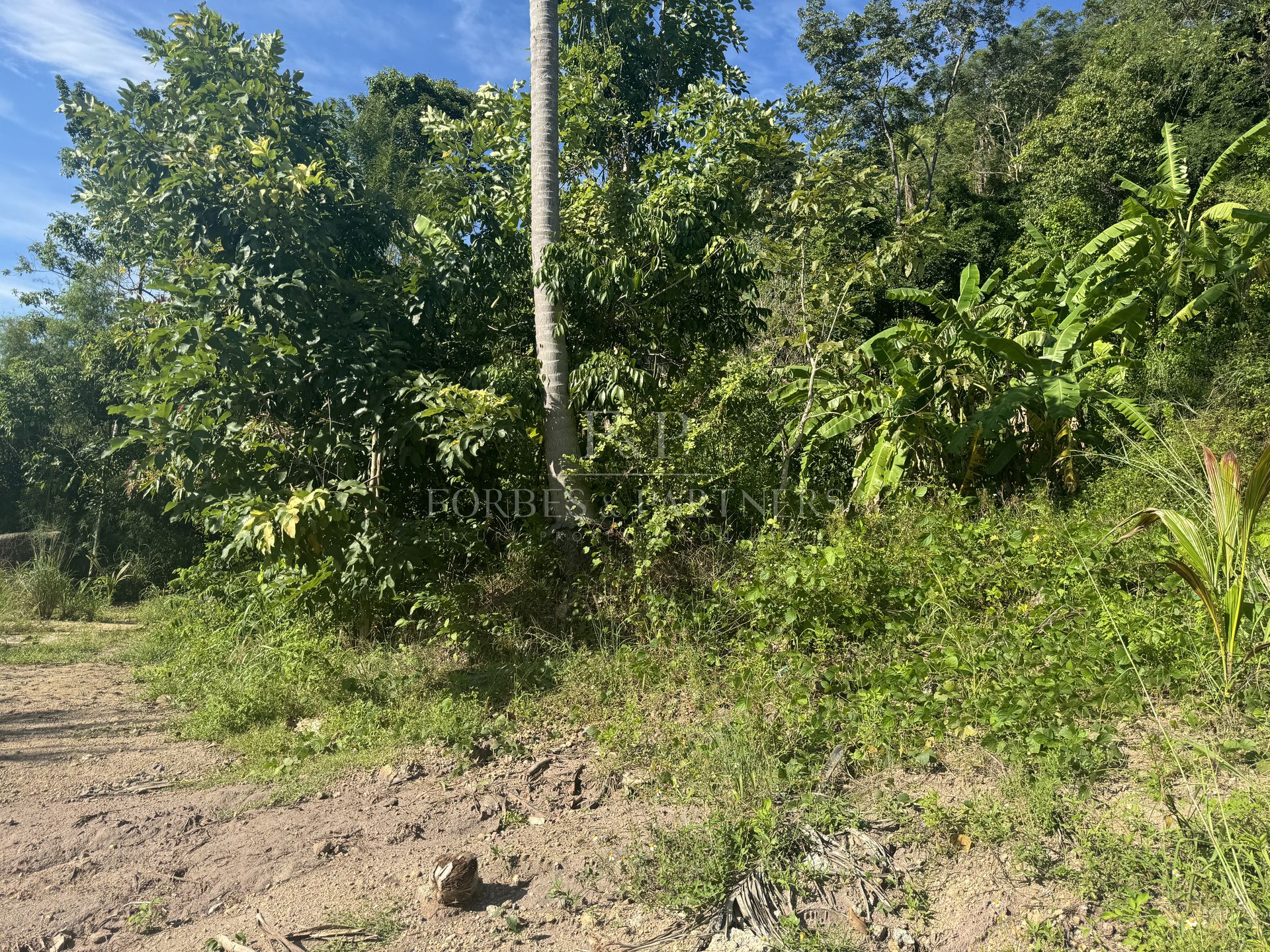 LAMAI RESIDENTIAL PLOT: 400 SQM IN PRIME LOCATION - Lamai, Ko Samui, Thailand