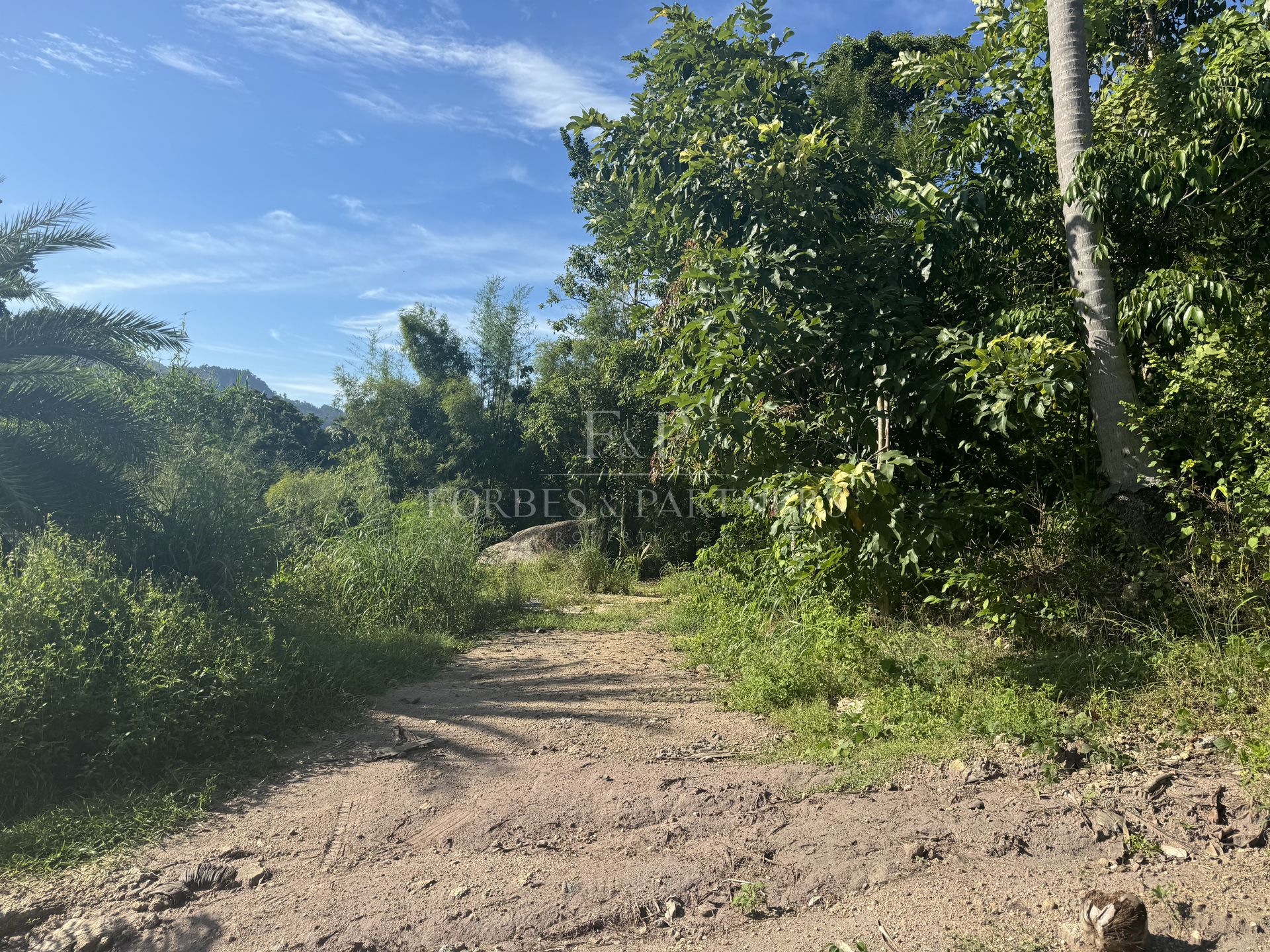 LAMAI RESIDENTIAL PLOT: 400 SQM IN PRIME LOCATION - Lamai, Ko Samui, Thailand