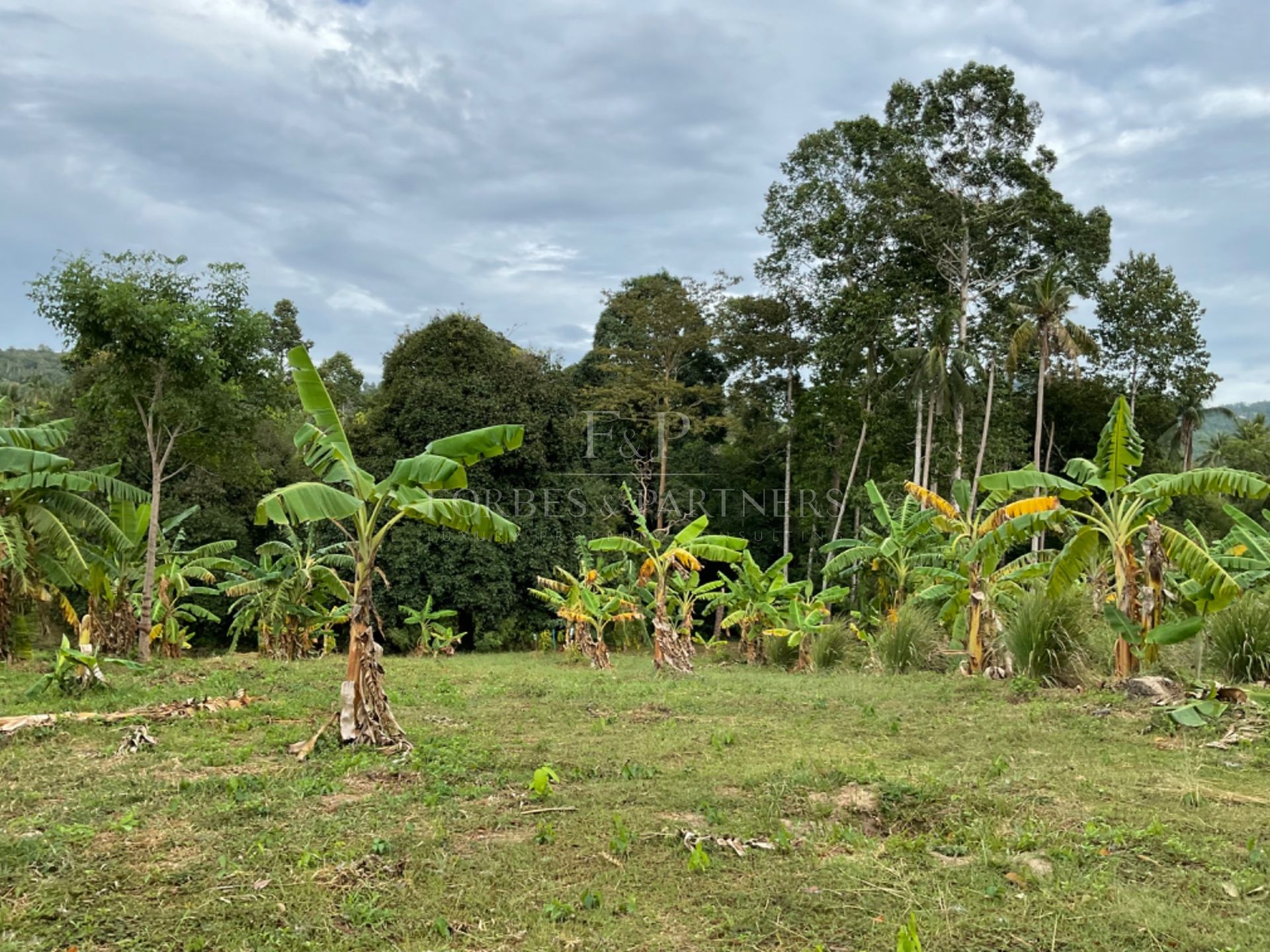 Create Your Vision In Kok Samui: Prime 1 Rai Plot in Maenam’s Golden Mile - Maenam, Ko Samui, Thailand