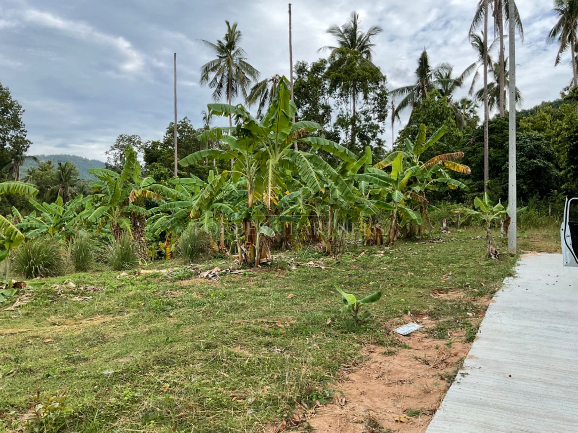 Create Your Vision In Kok Samui: Prime 1 Rai Plot in Maenam’s Golden Mile - Maenam, Ko Samui, Thailand