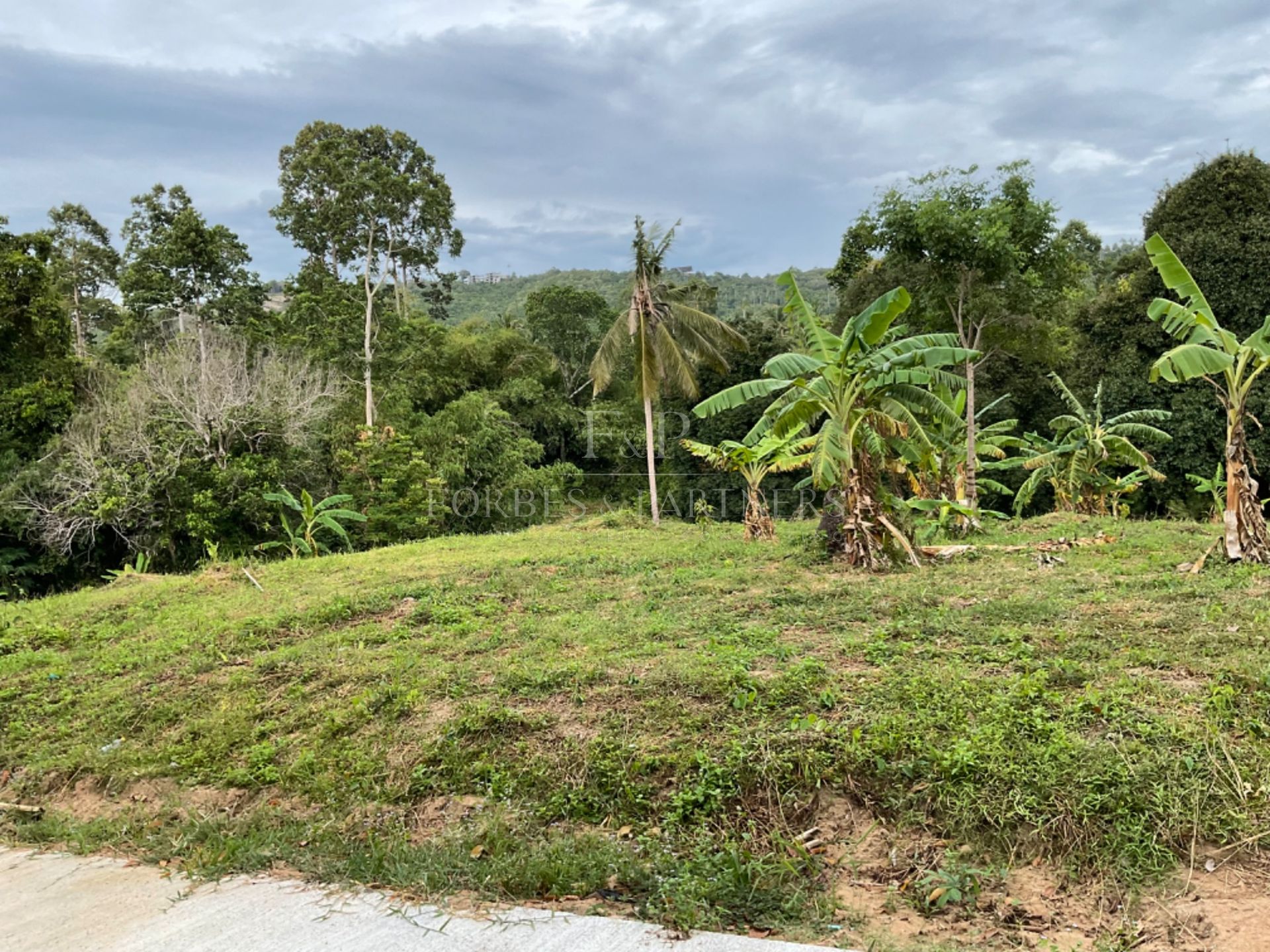 1 Rai Plot Create Your Vision In Kok Samui: Prime 1 Rai Plot in Maenam’s Golden ...