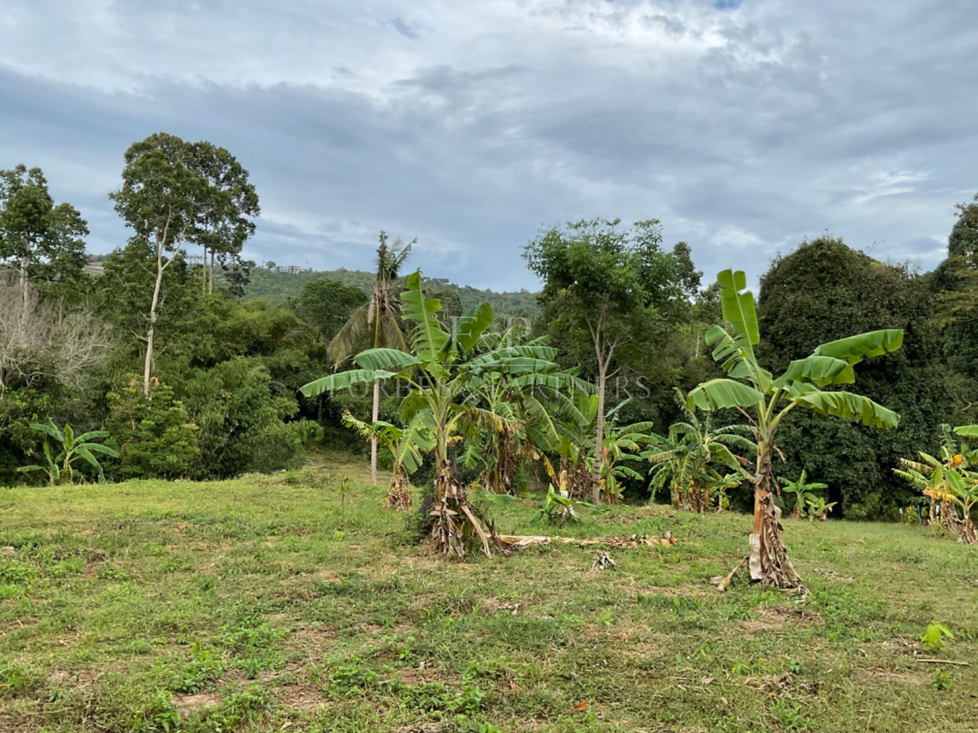 Create Your Vision In Kok Samui: Prime 1 Rai Plot in Maenam’s Golden Mile - Maenam, Ko Samui, Thailand