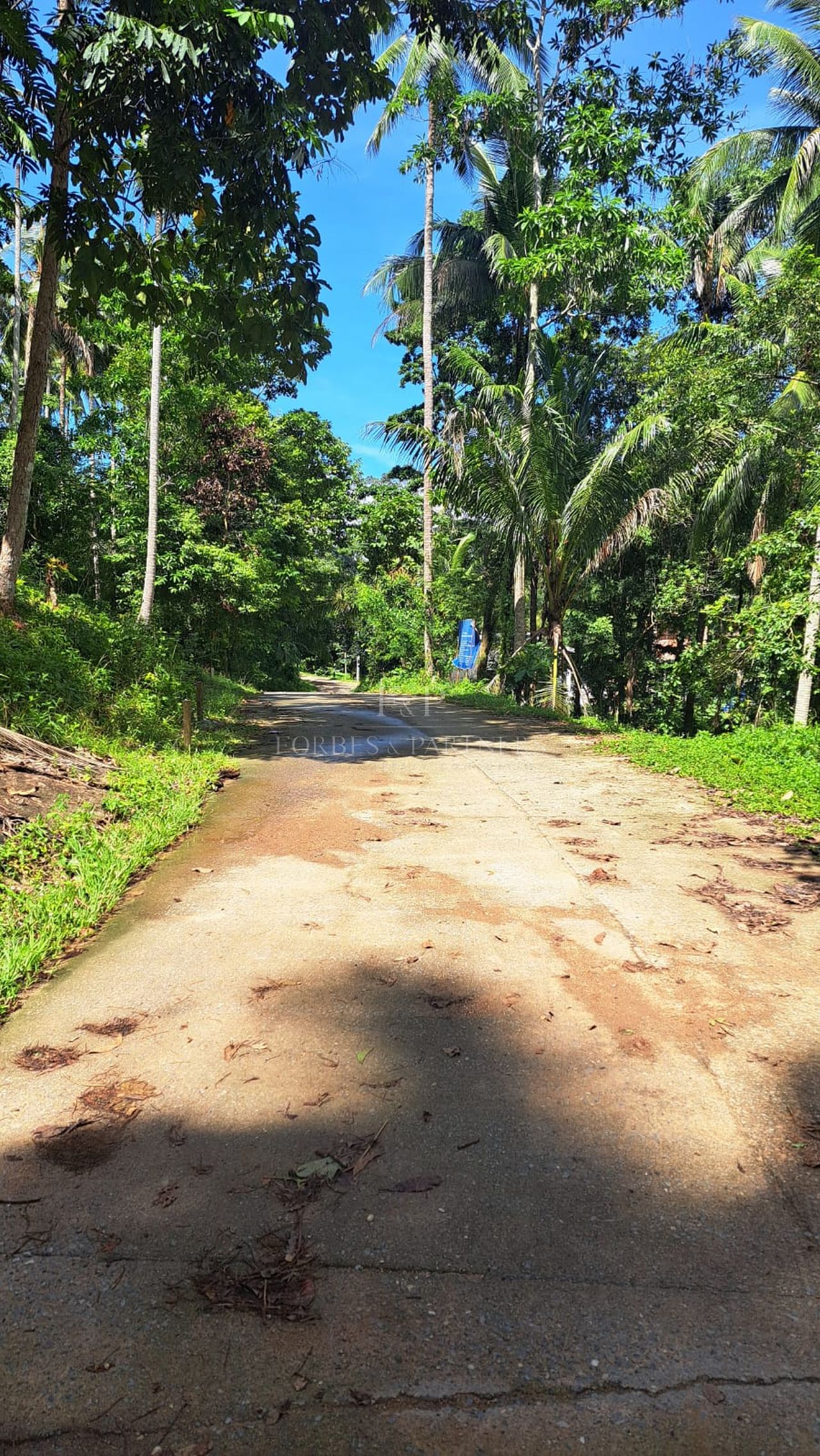 4 Rai Premium Land Near Natural Waterfall in Lipa Noi, Koh Samui - Lipa Noi, Ko Samui, Thailand