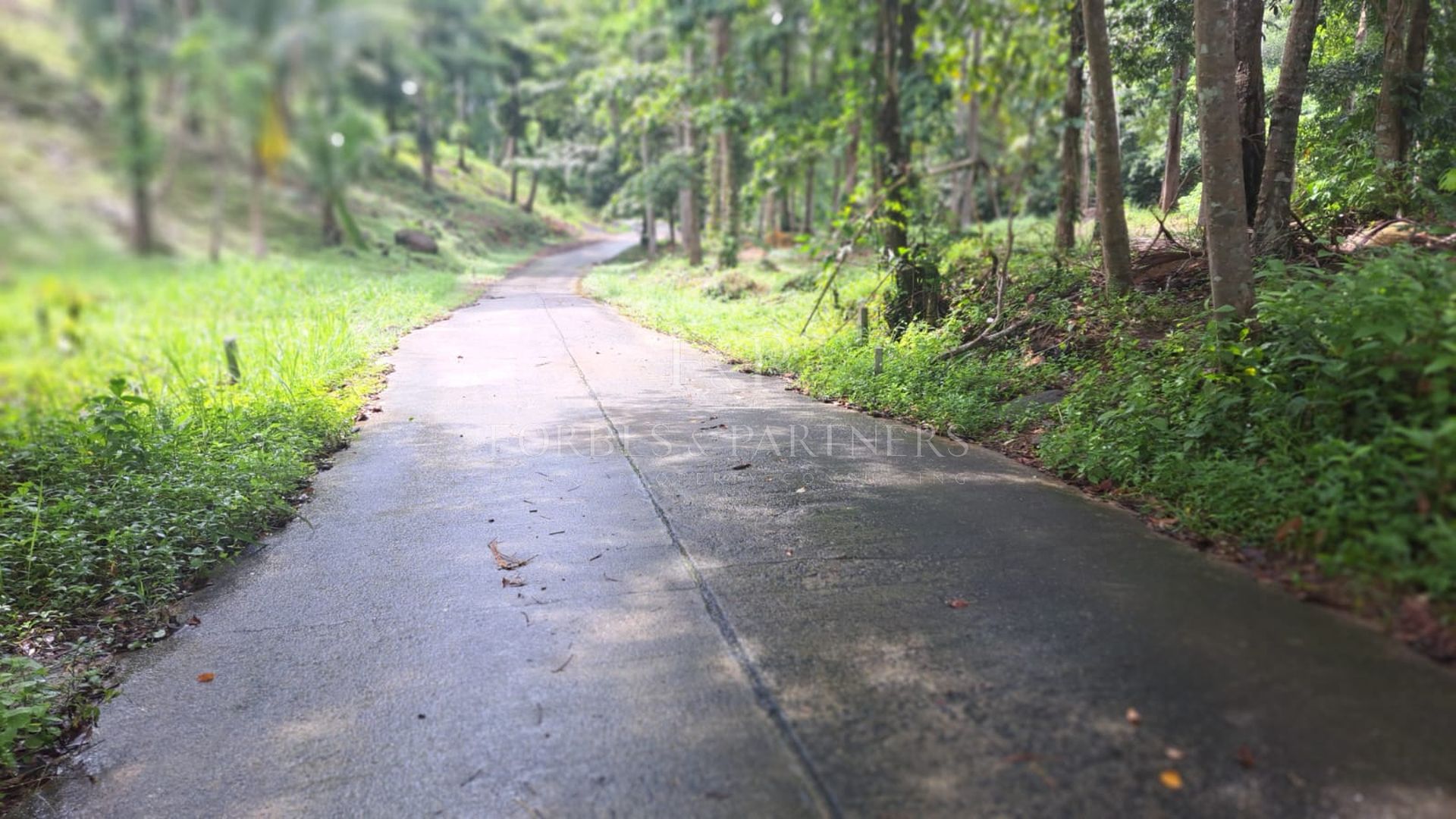 4 Rai Premium Land Near Natural Waterfall in Lipa Noi, Koh Samui - Lipa Noi, Ko Samui, Thailand