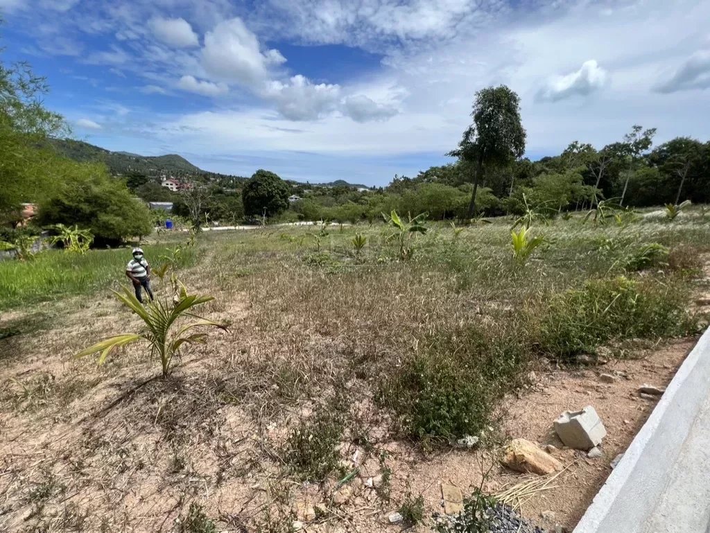 BEAUTIFUL LAND BOHPUT - Bo Phut, Ko Samui, Thailand