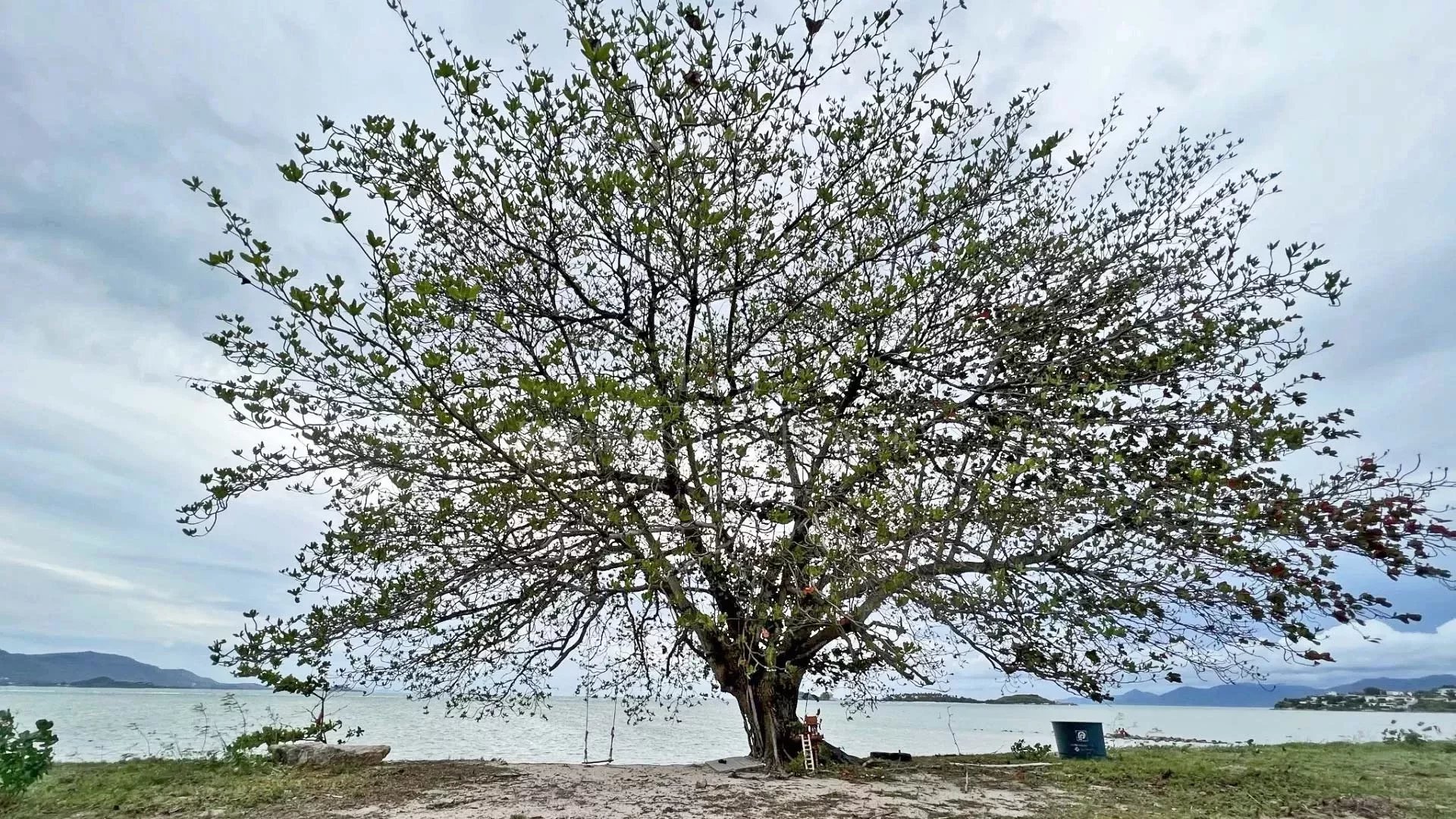 AMAZING FLAT LAND BEACHFRONT PLAI LAEM - Plai Laem, Ko Samui, Thailand