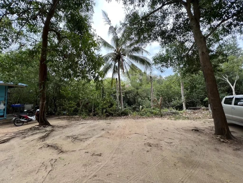 MEANAM FLAT LAND 30M FROM THE BEACH - Maenam, Ko Samui, Thailand