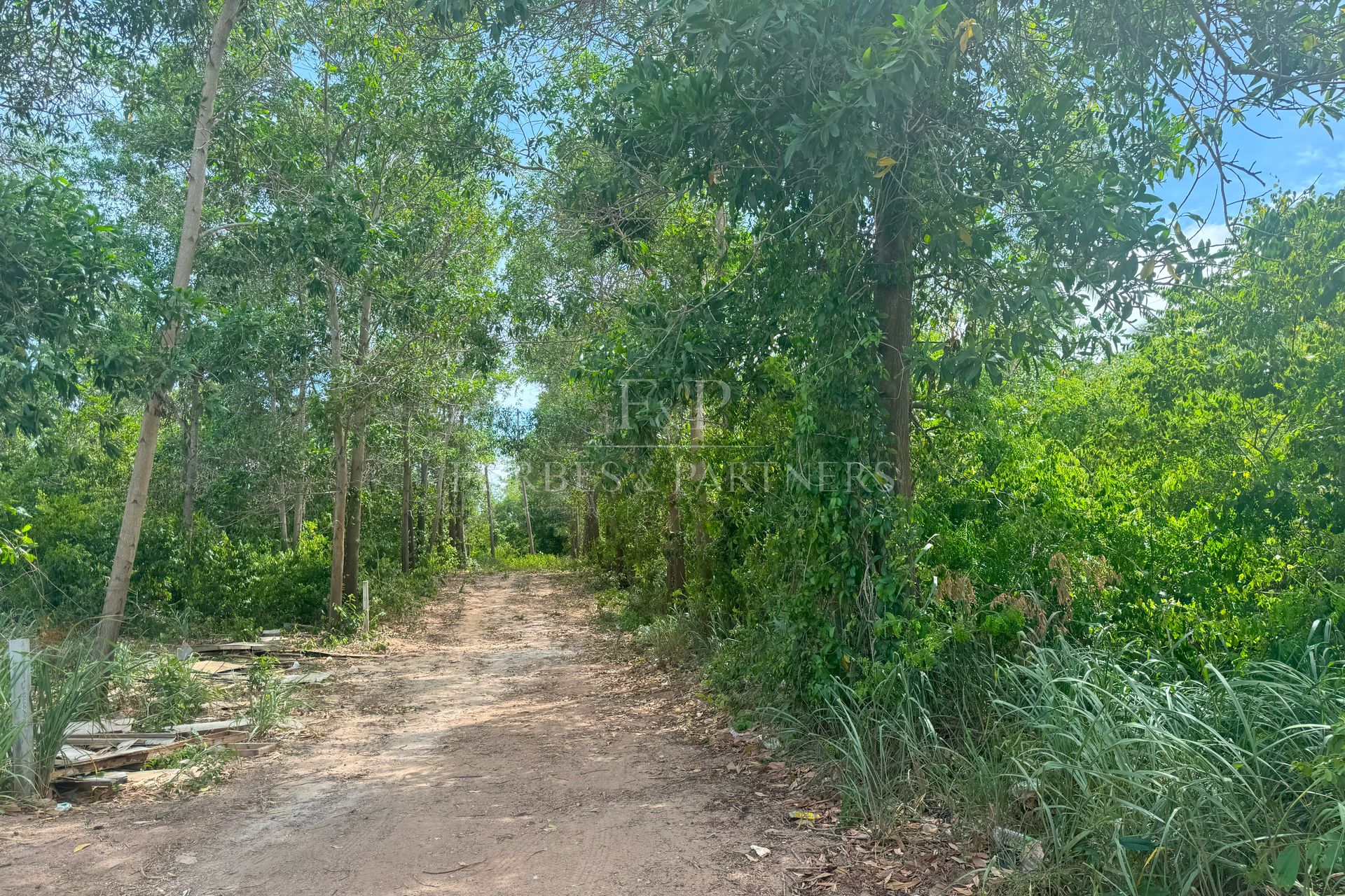 Prime Development Opportunity: Expansive Land For Sale In Bang Rak, Koh Samui - Bang Rak, Ko Samui, Thailand