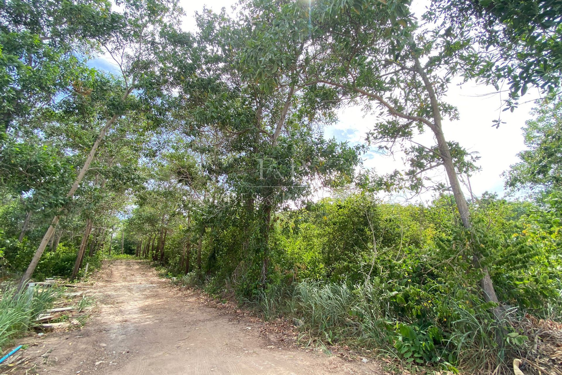 Prime Development Opportunity: Expansive Land For Sale In Bang Rak, Koh Samui - Bang Rak, Ko Samui, Thailand