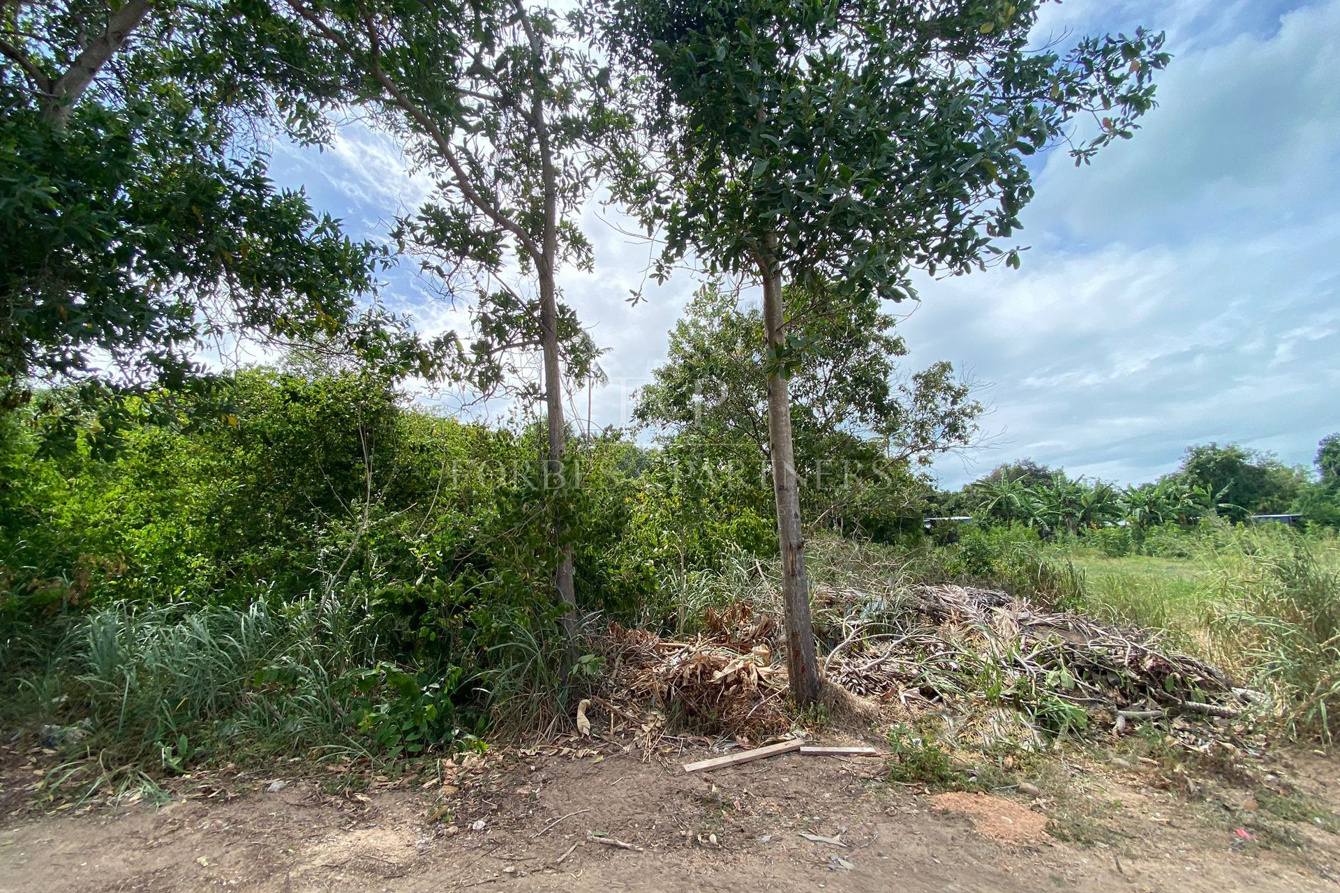 Prime Development Opportunity: Expansive Land For Sale In Bang Rak, Koh Samui - Bang Rak, Ko Samui, Thailand