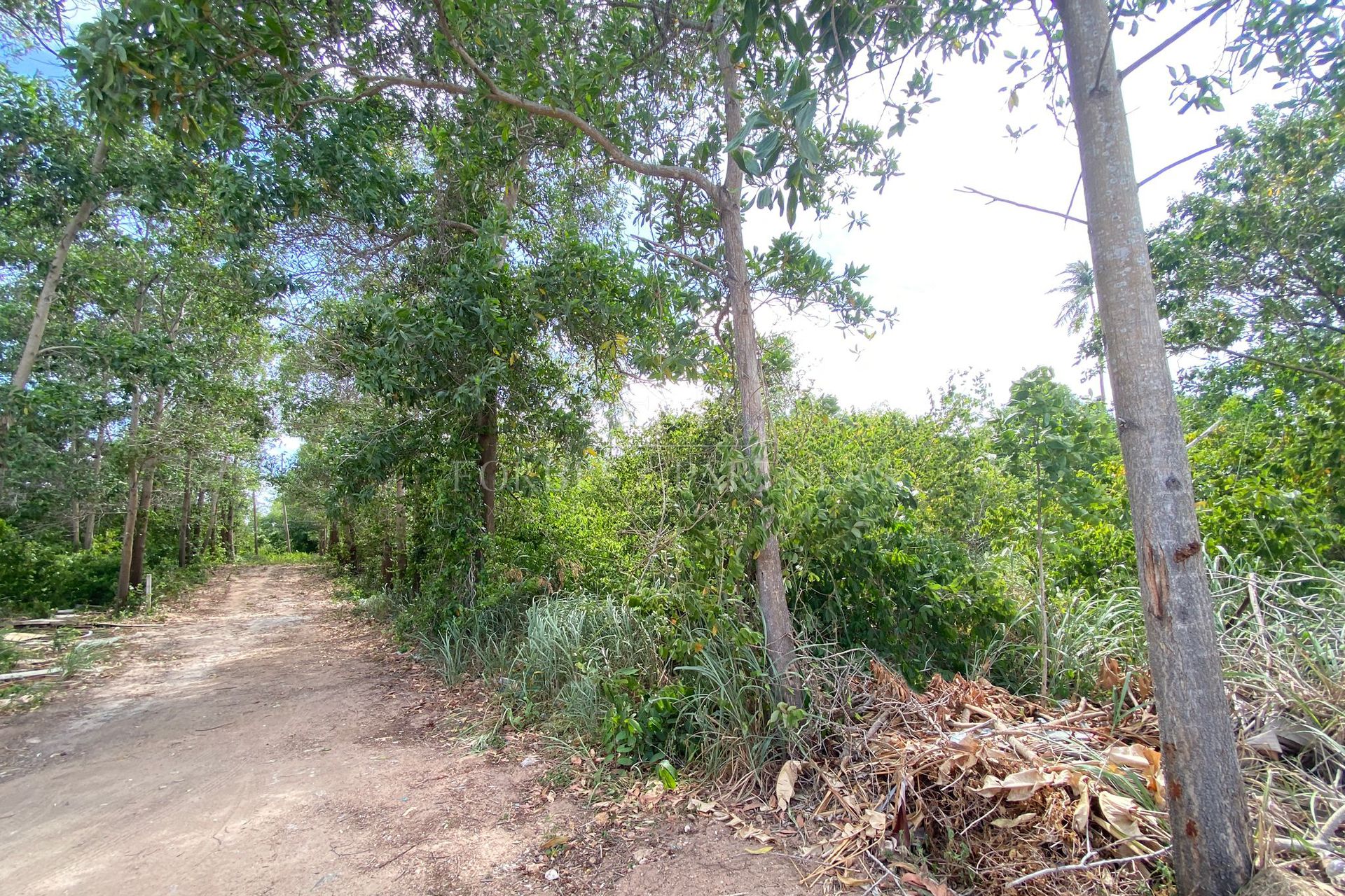 Prime Development Opportunity: Expansive Land For Sale In Bang Rak, Koh Samui - Bang Rak, Ko Samui, Thailand
