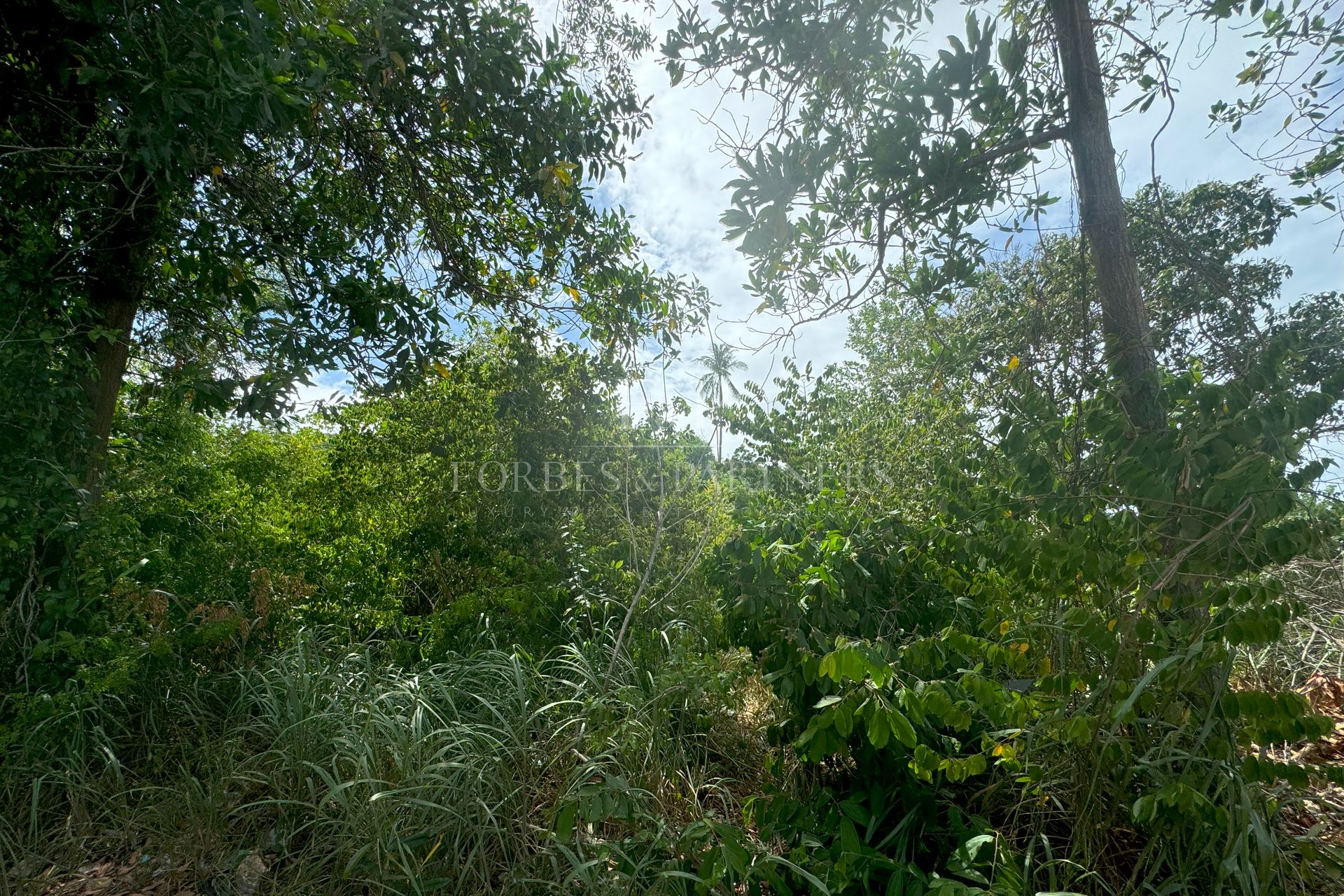 Prime Development Opportunity: Expansive Land For Sale In Bang Rak, Koh Samui - Bang Rak, Ko Samui, Thailand