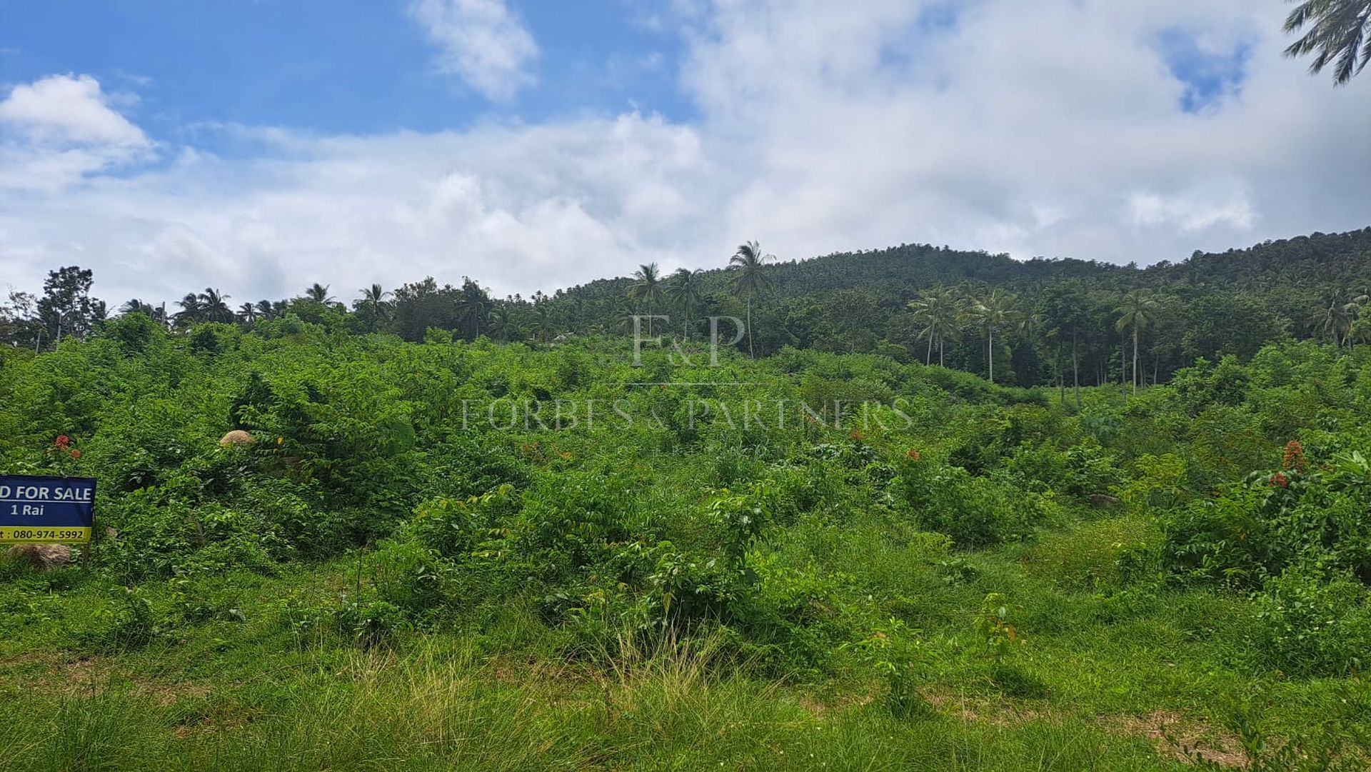 Rare Gem: Spectacular 11-Rai Land with 360° Sea Views in Taling Ngam, Koh Samui - Taling Ngam, Ko Samui, Thailand