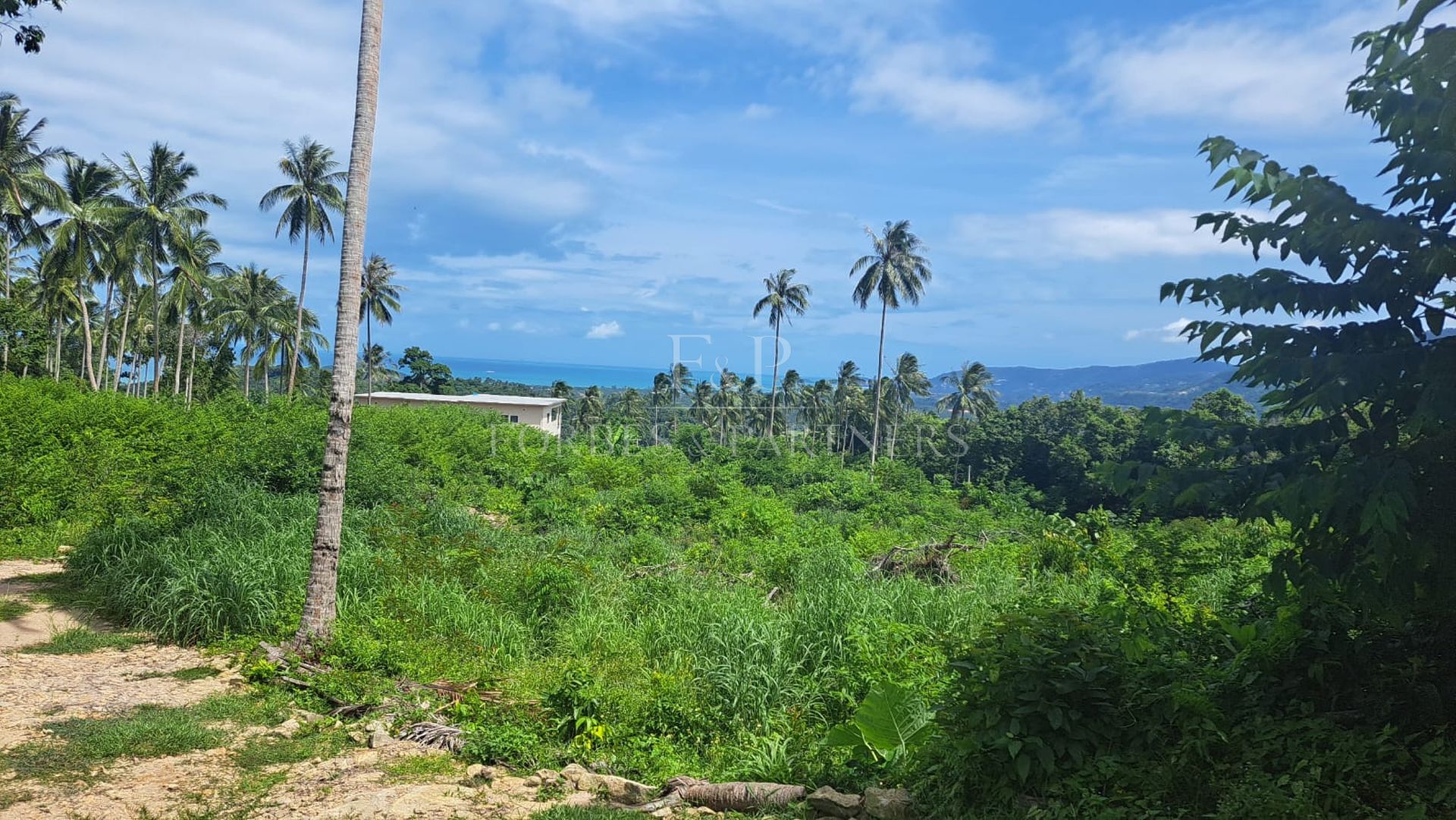 Rare Gem: Spectacular 11-Rai Land with 360° Sea Views in Taling Ngam, Koh Samui - Taling Ngam, Ko Samui, Thailand