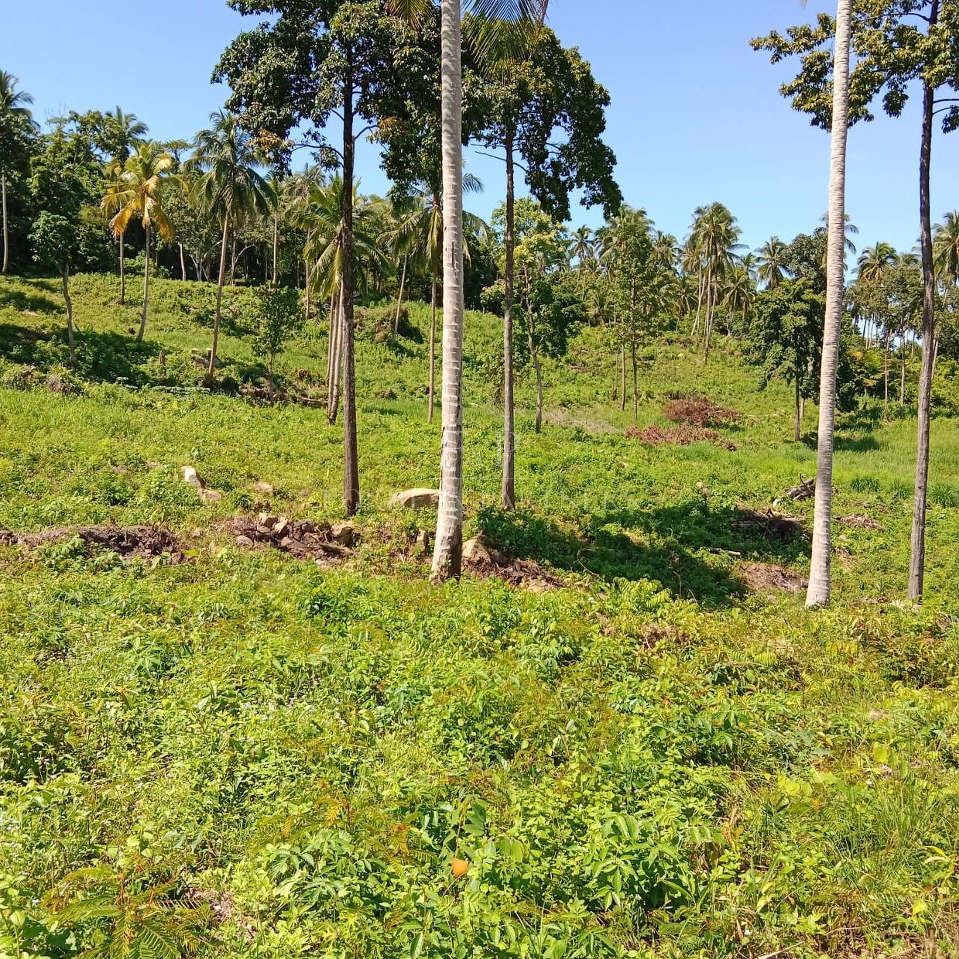 Rare Gem: Spectacular 11-Rai Land with 360° Sea Views in Taling Ngam, Koh Samui - Taling Ngam, Ko Samui, Thailand
