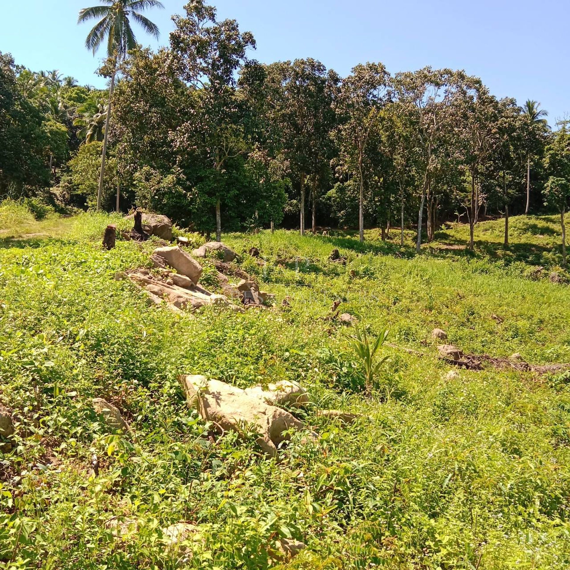 Rare Gem: Spectacular 11-Rai Land with 360° Sea Views in Taling Ngam, Koh Samui - Taling Ngam, Ko Samui, Thailand