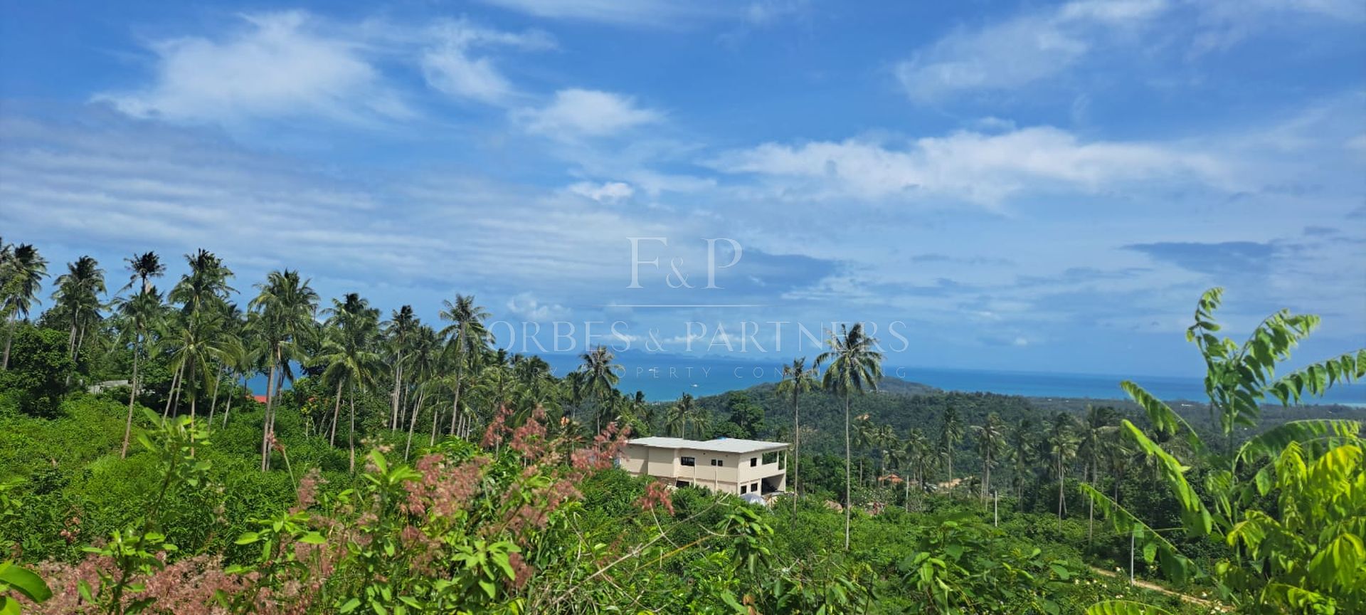 Rare Gem: Spectacular 11-Rai Land with 360° Sea Views in Taling Ngam, Koh Samui - Taling Ngam, Ko Samui, Thailand