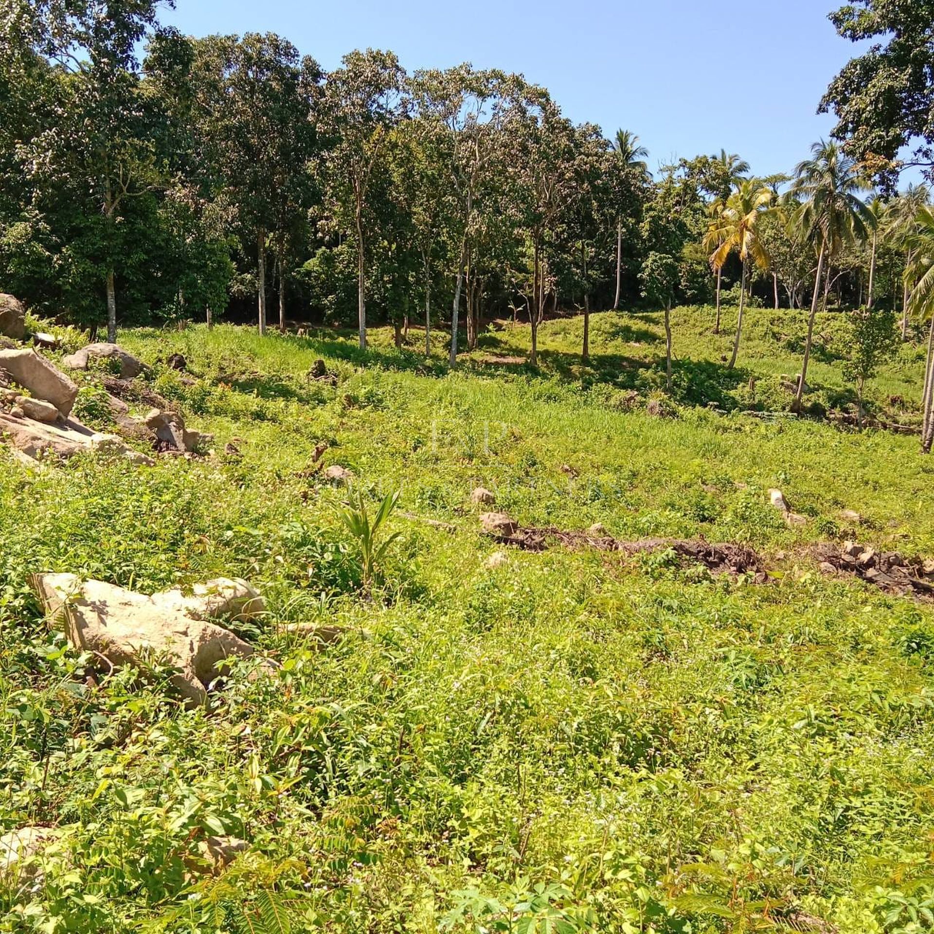 Rare Gem: Spectacular 11-Rai Land with 360° Sea Views in Taling Ngam, Koh Samui - Taling Ngam, Ko Samui, Thailand