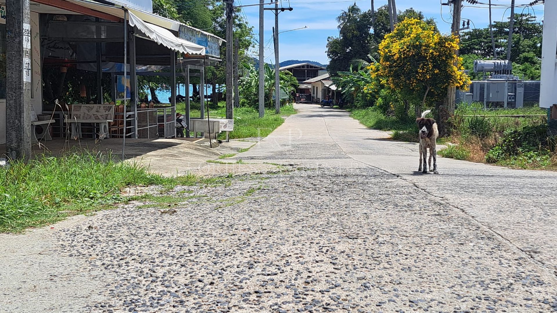 Exclusive Koh Samui Land Plot: 50m from Pristine Beach - Taling Ngam, Ko Samui, Thailand