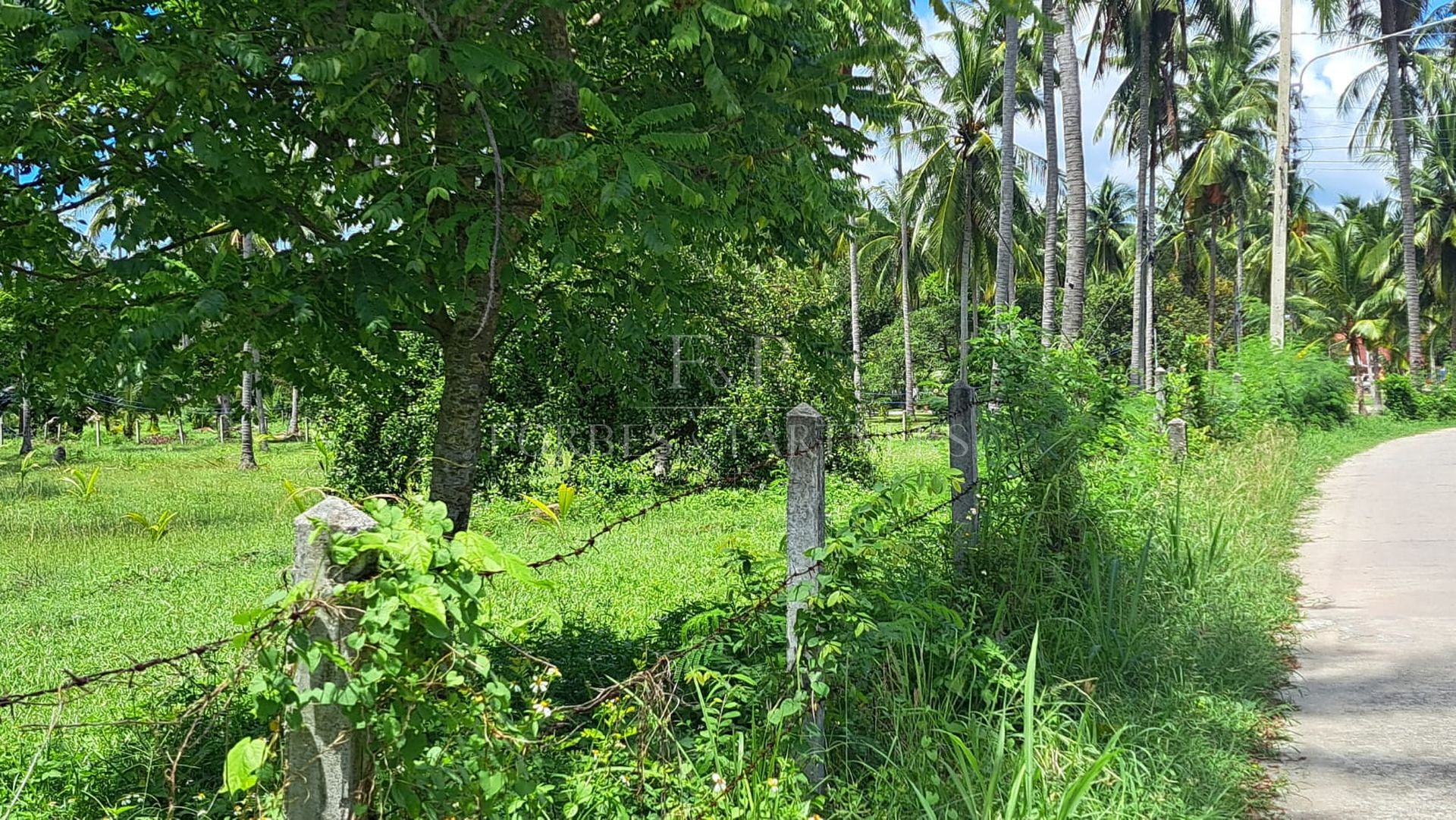 Exclusive Koh Samui Land Plot: 50m from Pristine Beach - Taling Ngam, Ko Samui, Thailand