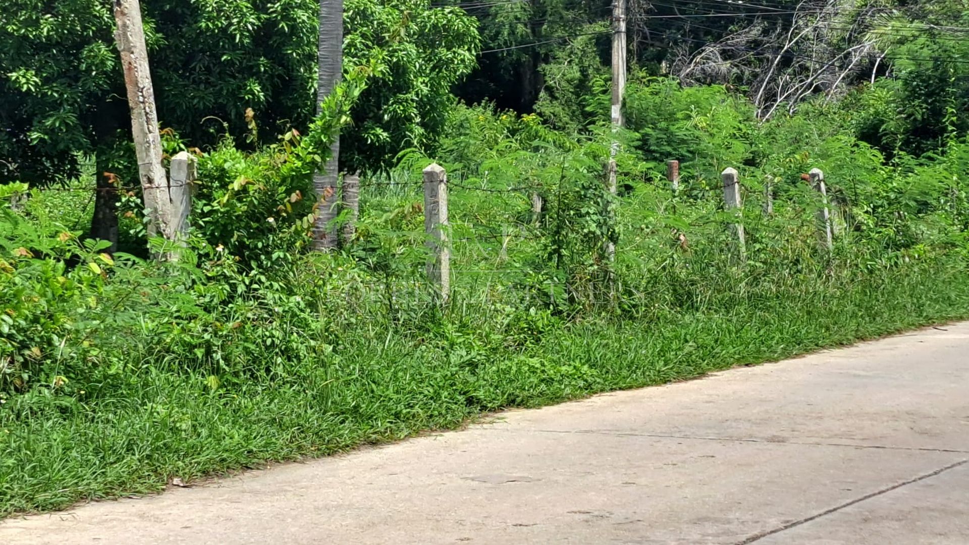 Exclusive Koh Samui Land Plot: 50m from Pristine Beach - Taling Ngam, Ko Samui, Thailand