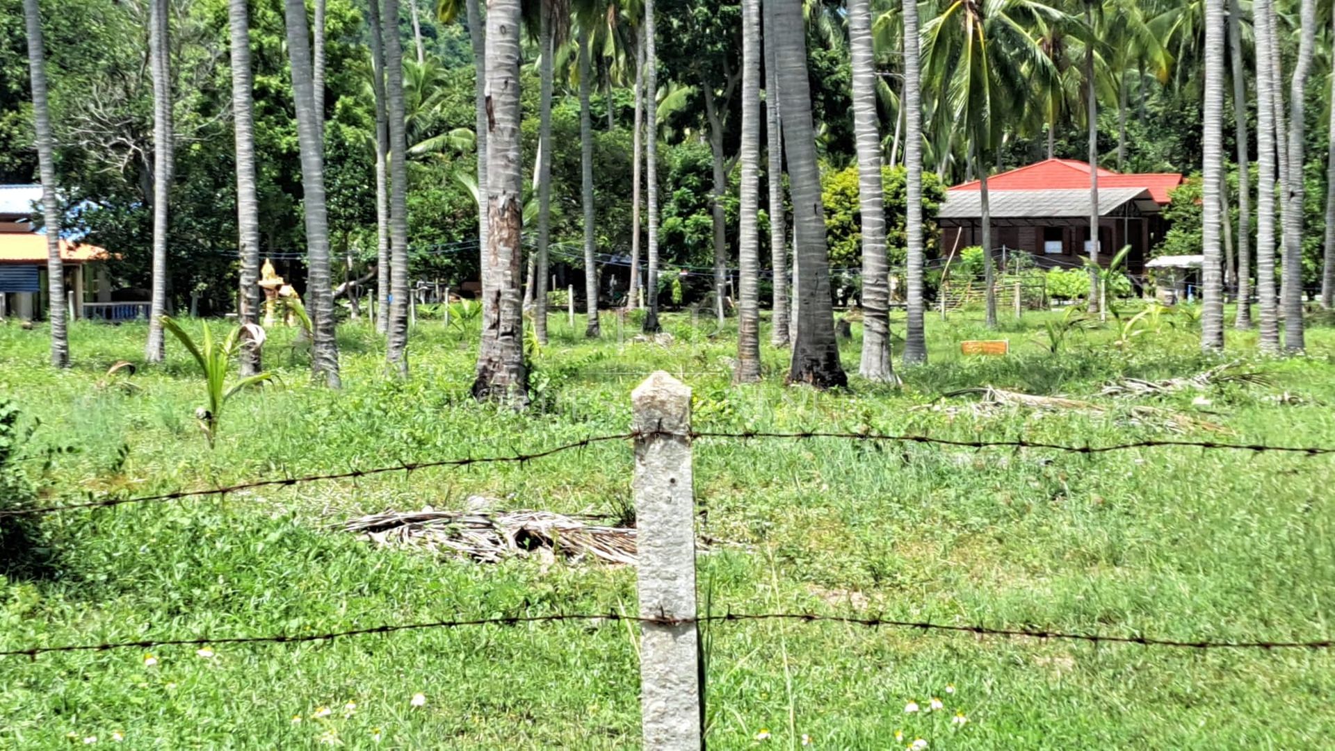 Exclusive Koh Samui Land Plot: 50m from Pristine Beach - Taling Ngam, Ko Samui, Thailand