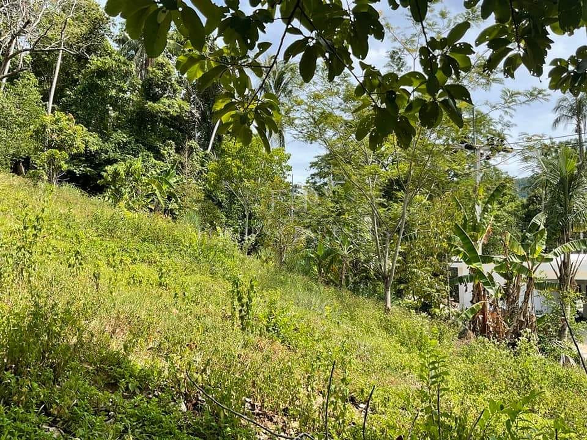 3.5 Rai Premium Development Land Near Lamai Beach, Koh Samui - Lamai, Ko Samui, Thailand