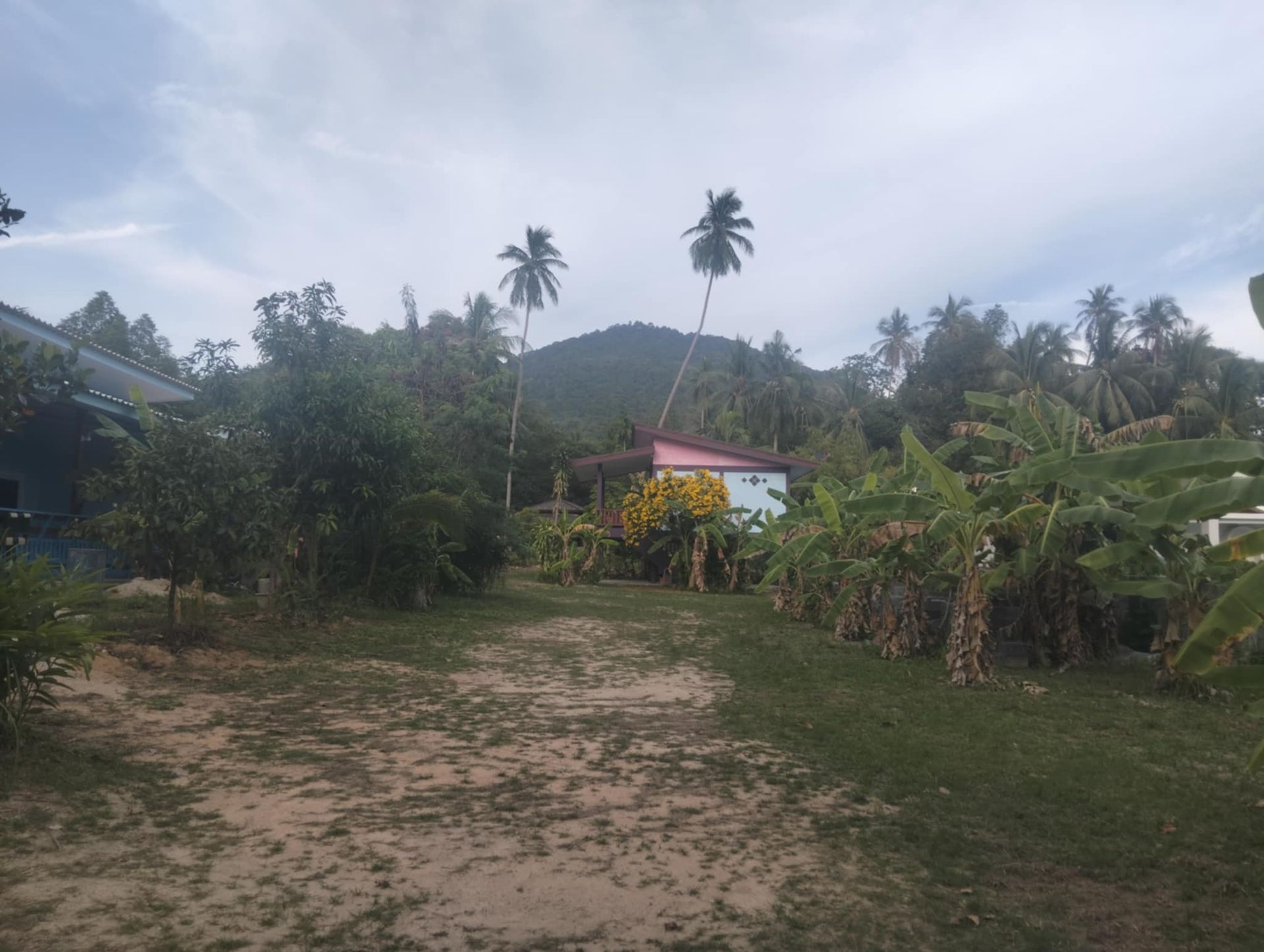 Prime 2,176 sqm Land for Sale Koh Phangan – Main Road Location with 4 Houses - Ko Pha-ngan, Thailand