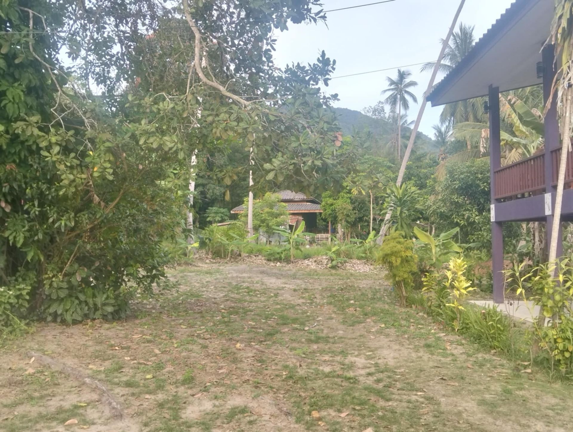 Prime 2,176 sqm Land for Sale Koh Phangan – Main Road Location with 4 Houses - Ko Pha-ngan, Thailand