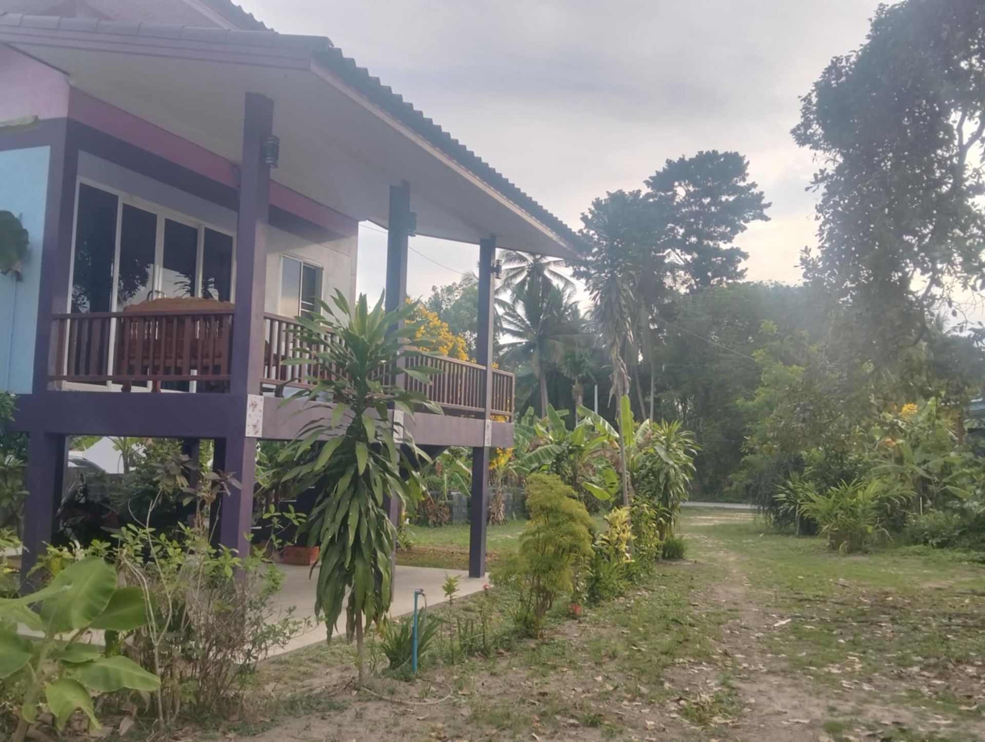 Prime 2,176 sqm Land for Sale Koh Phangan – Main Road Location with 4 Houses - Ko Pha-ngan, Thailand